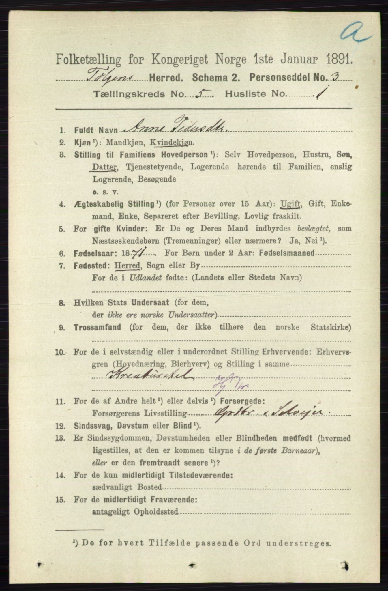 RA, 1891 census for 0436 Tolga, 1891, p. 1295