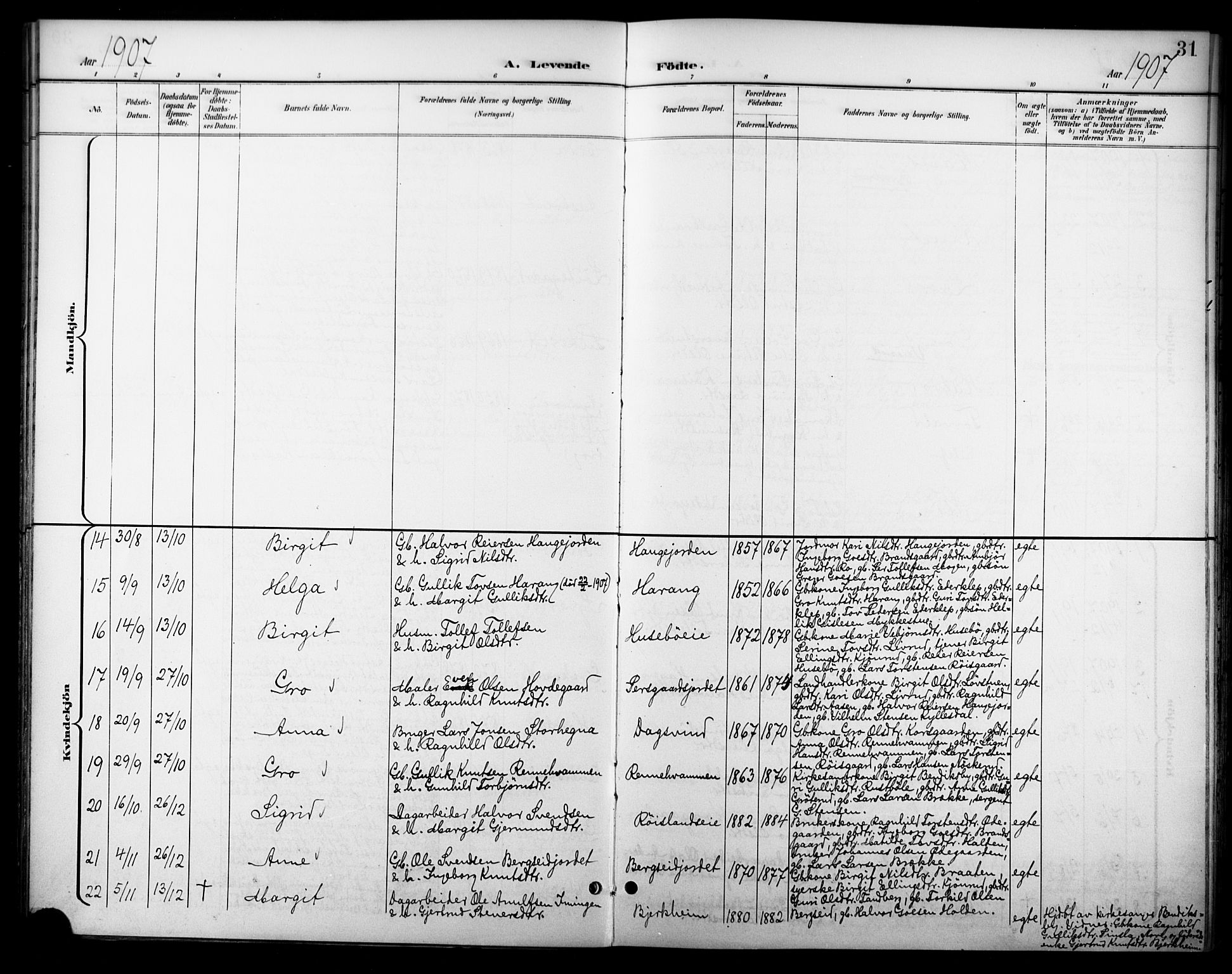 Nore kirkebøker, AV/SAKO-A-238/F/Fc/L0005: Parish register (official) no. III 5, 1898-1922, p. 31