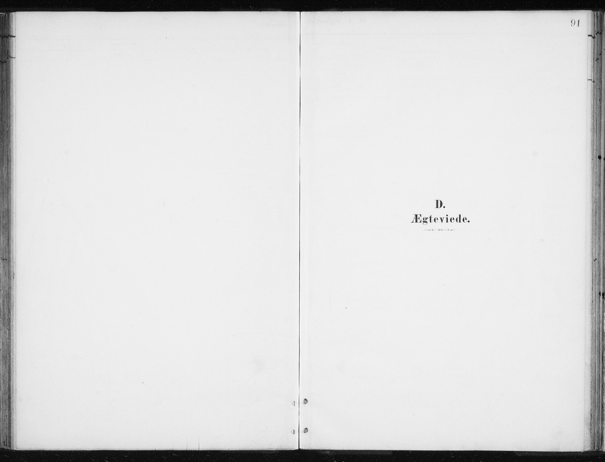Lyngen sokneprestembete, SATØ/S-1289/H/He/Hea/L0010kirke: Parish register (official) no. 10, 1883-1904, p. 91