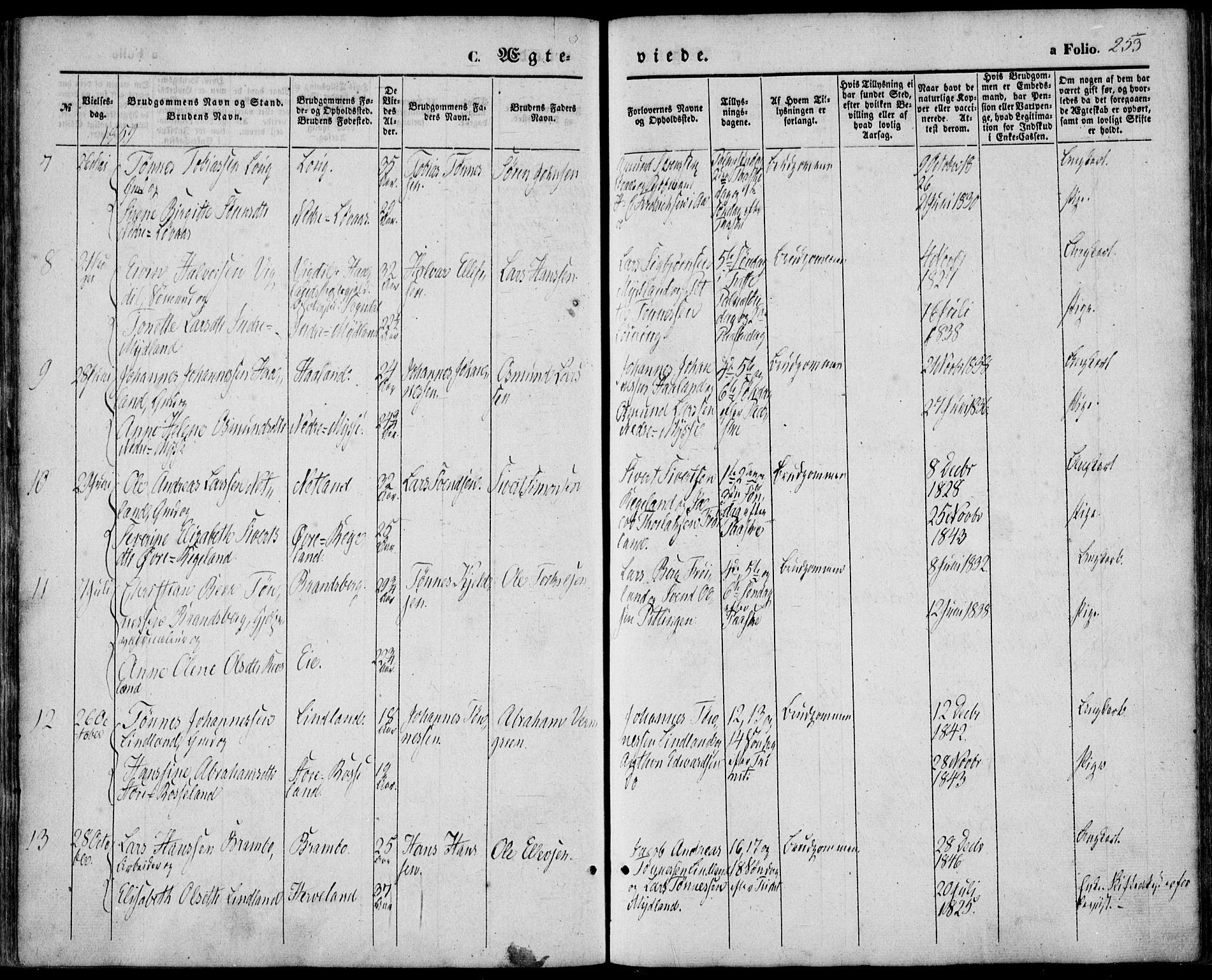 Sokndal sokneprestkontor, AV/SAST-A-101808: Parish register (official) no. A 9, 1857-1874, p. 253