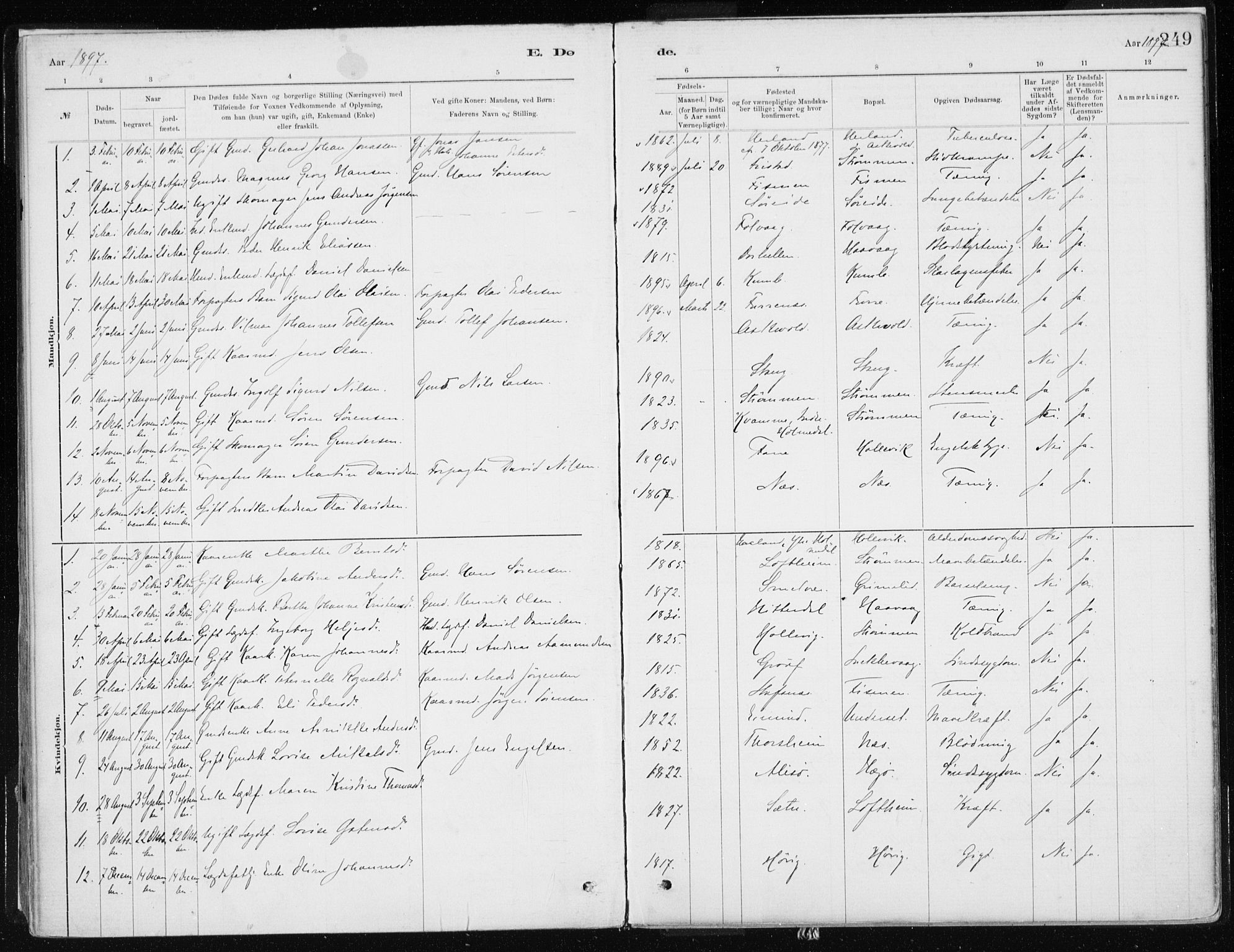 Askvoll sokneprestembete, SAB/A-79501/H/Haa/Haab/L0002: Parish register (official) no. B 2, 1879-1909, p. 249