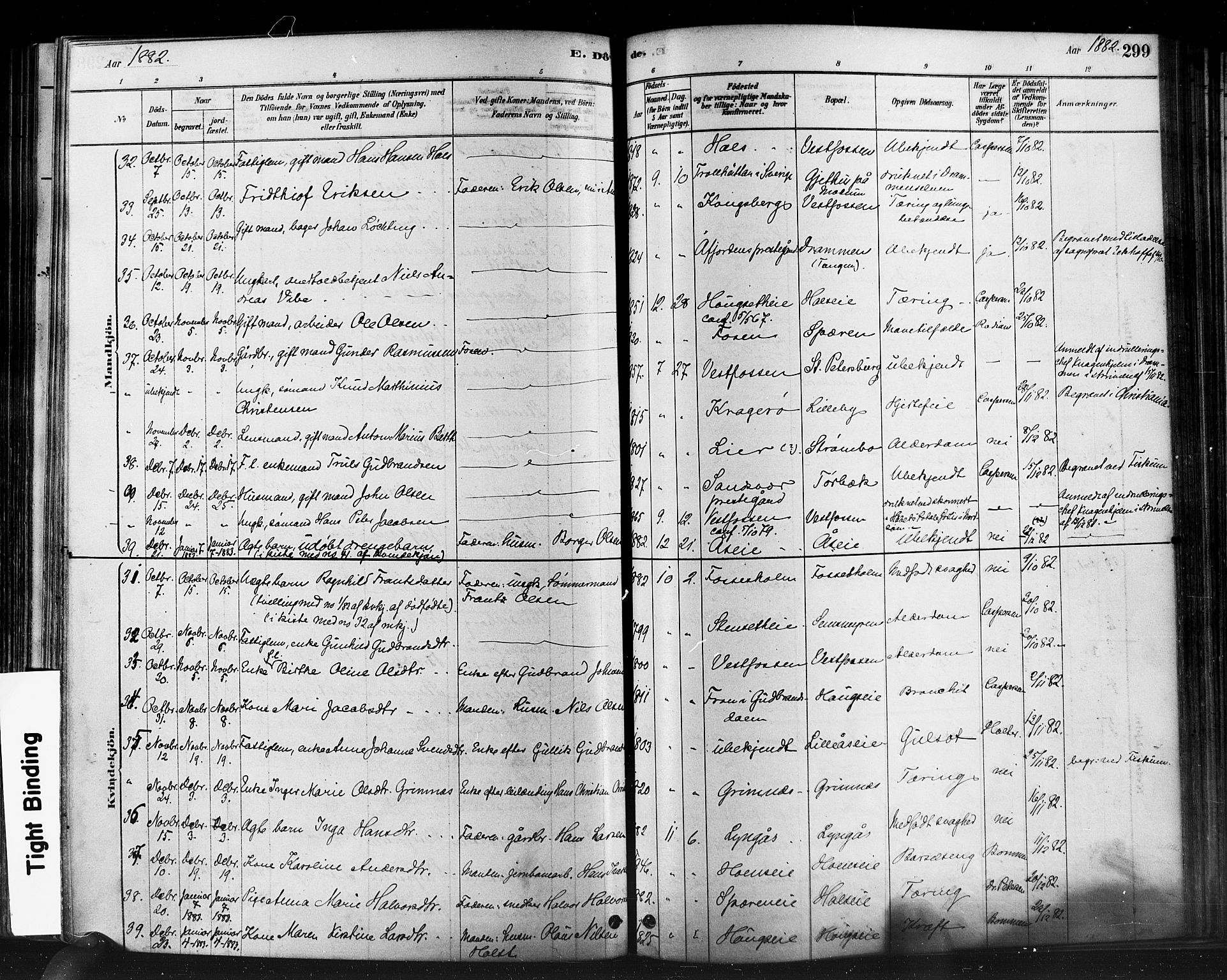 Eiker kirkebøker, AV/SAKO-A-4/F/Fb/L0001: Parish register (official) no. II 1, 1878-1888, p. 299