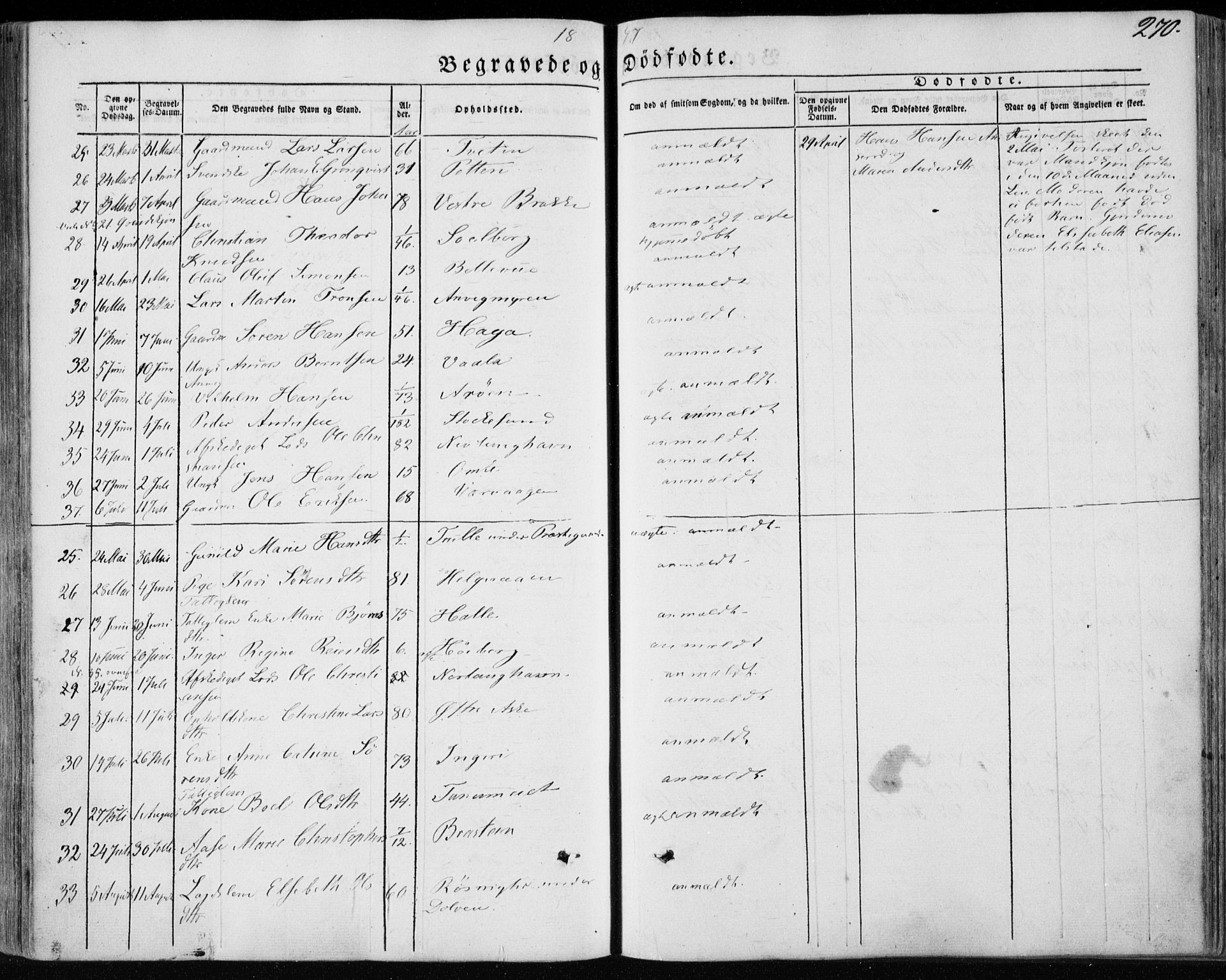 Brunlanes kirkebøker, AV/SAKO-A-342/F/Fa/L0004: Parish register (official) no. I 4, 1846-1862, p. 270