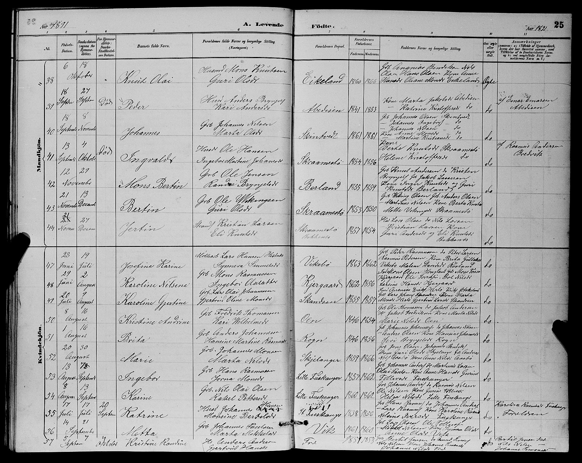 Herdla Sokneprestembete, SAB/A-75701/H/Hab: Parish register (copy) no. A 3, 1889-1899, p. 25