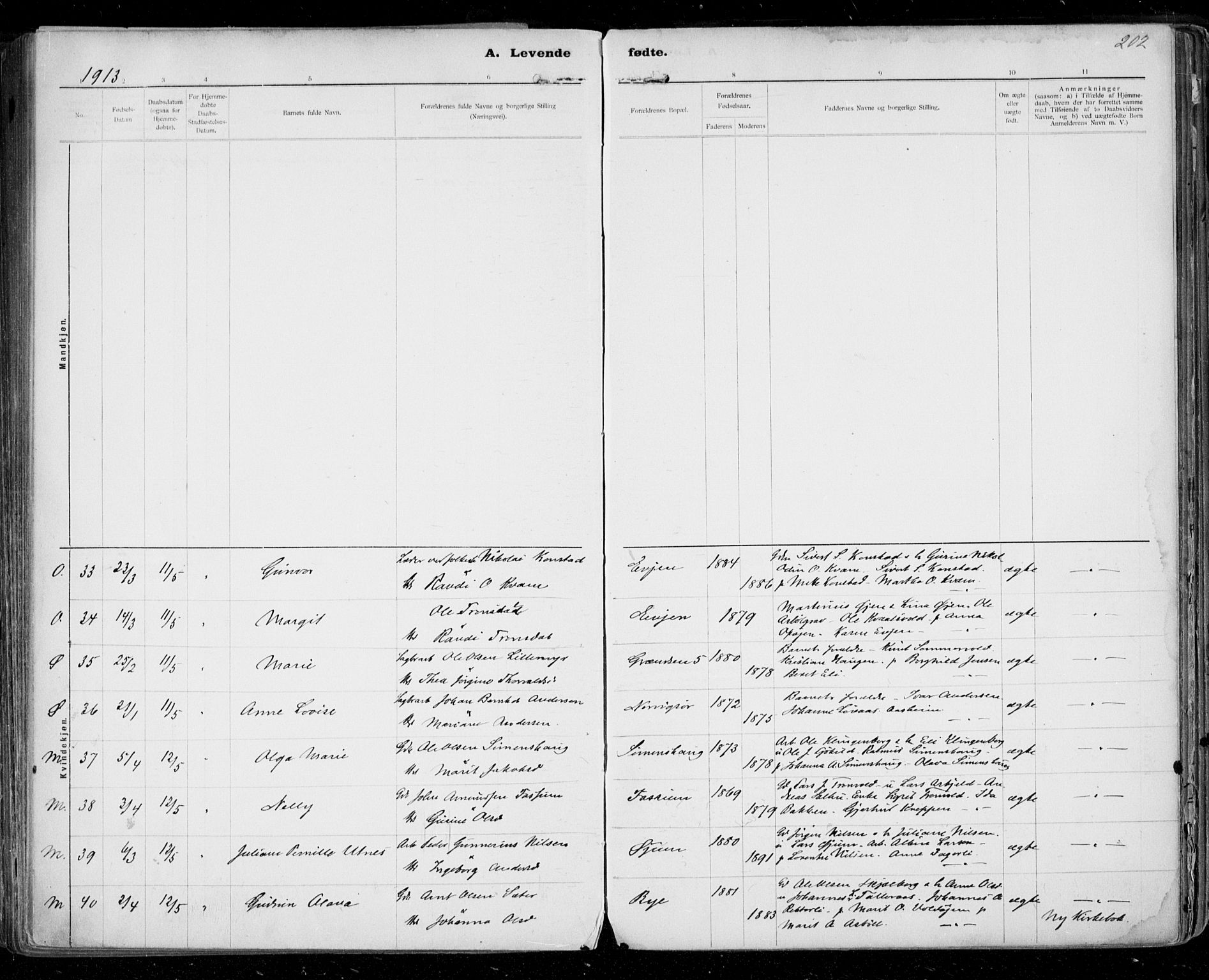 Ministerialprotokoller, klokkerbøker og fødselsregistre - Sør-Trøndelag, AV/SAT-A-1456/668/L0811: Parish register (official) no. 668A11, 1894-1913, p. 202