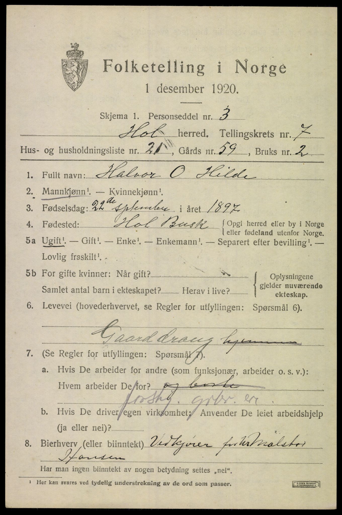 SAKO, 1920 census for Hol (Buskerud), 1920, p. 3773