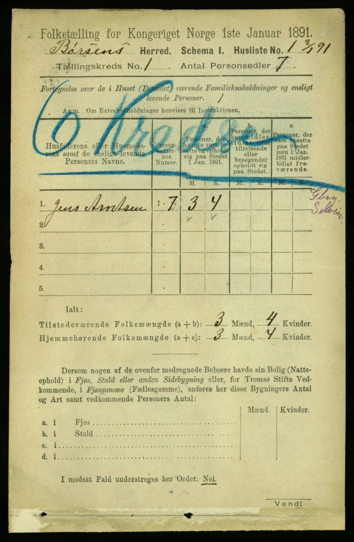 RA, 1891 census for 1658 Børsa, 1891, p. 19