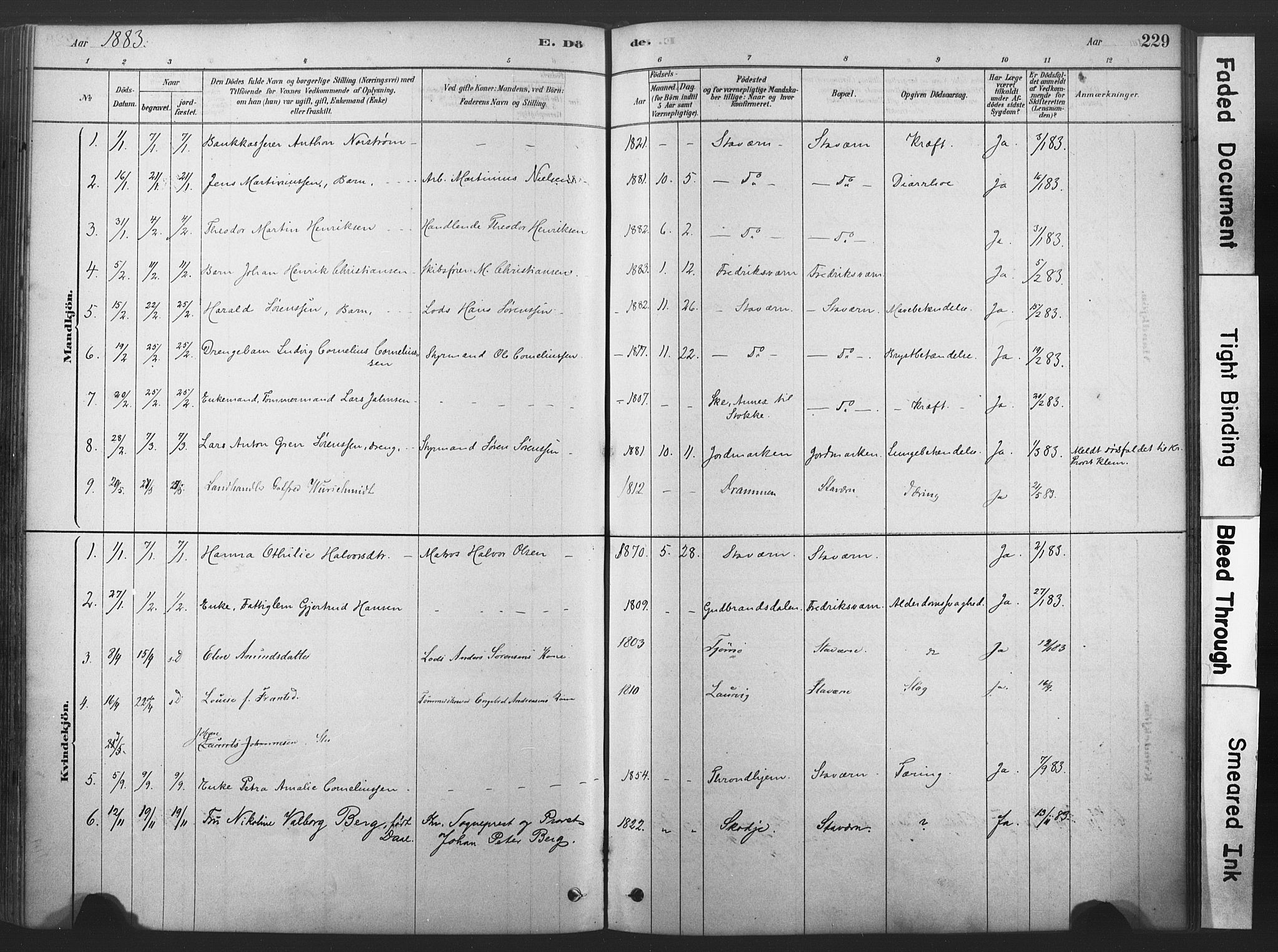 Stavern kirkebøker, SAKO/A-318/F/Fa/L0008: Parish register (official) no. 8, 1878-1905, p. 229