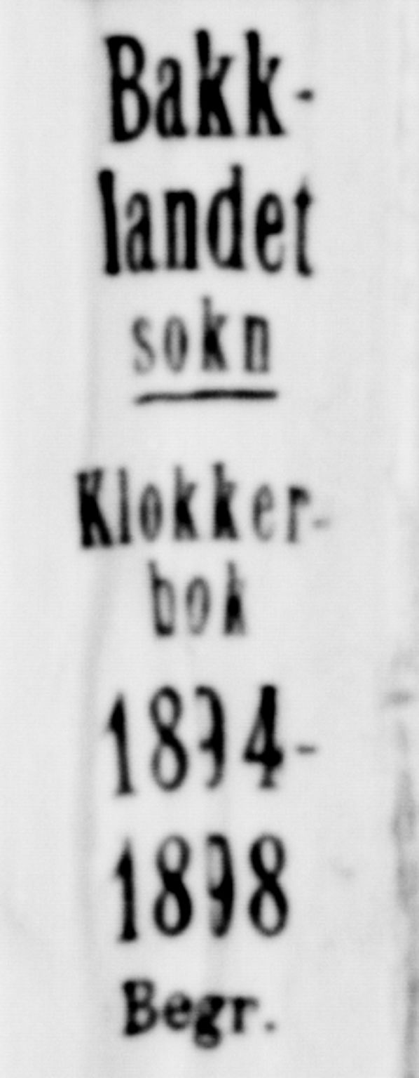 Ministerialprotokoller, klokkerbøker og fødselsregistre - Sør-Trøndelag, SAT/A-1456/604/L0224: Parish register (copy) no. 604C07, 1894-1898