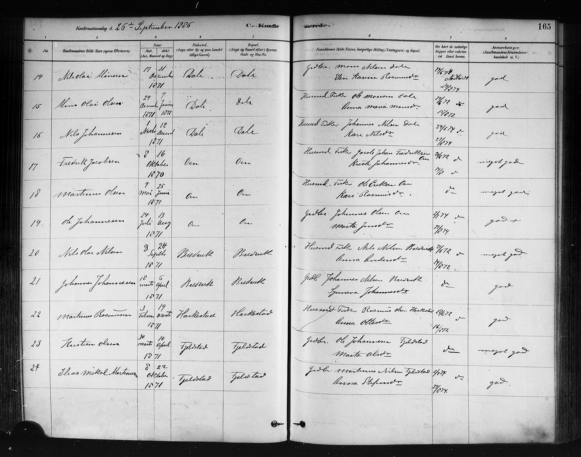 Herdla Sokneprestembete, AV/SAB-A-75701/H/Haa: Parish register (official) no. A 3, 1878-1890, p. 165