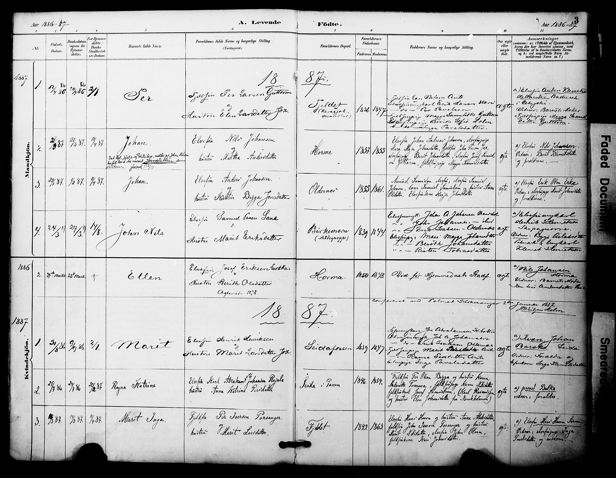 Nesseby sokneprestkontor, SATØ/S-1330/H/Ha/L0005kirke: Parish register (official) no. 5, 1885-1906, p. 3