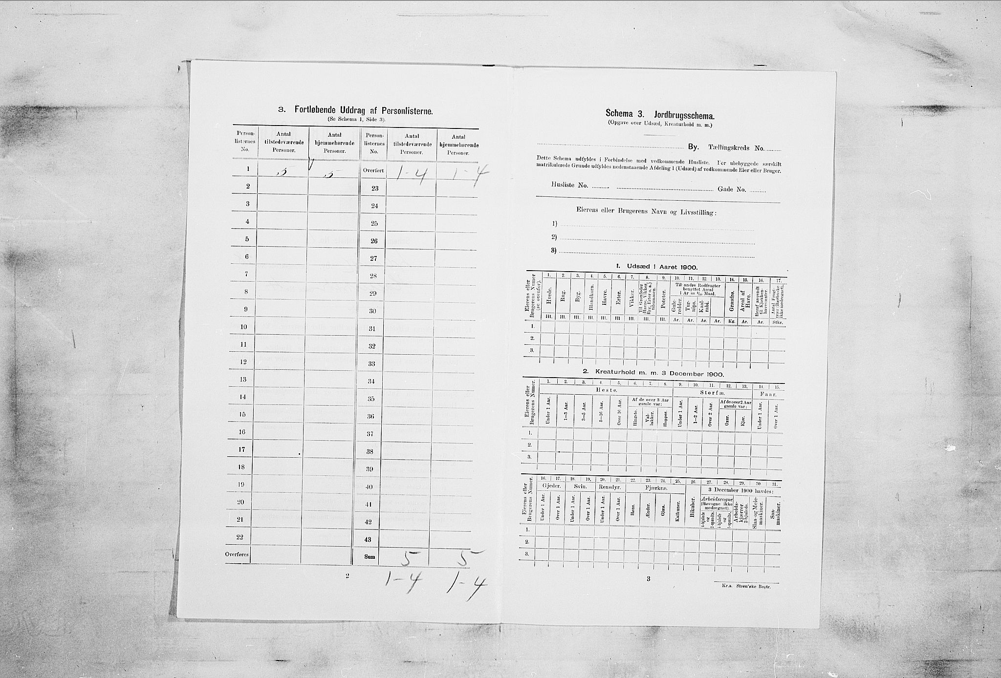 RA, 1900 census for Larvik, 1900, p. 5015