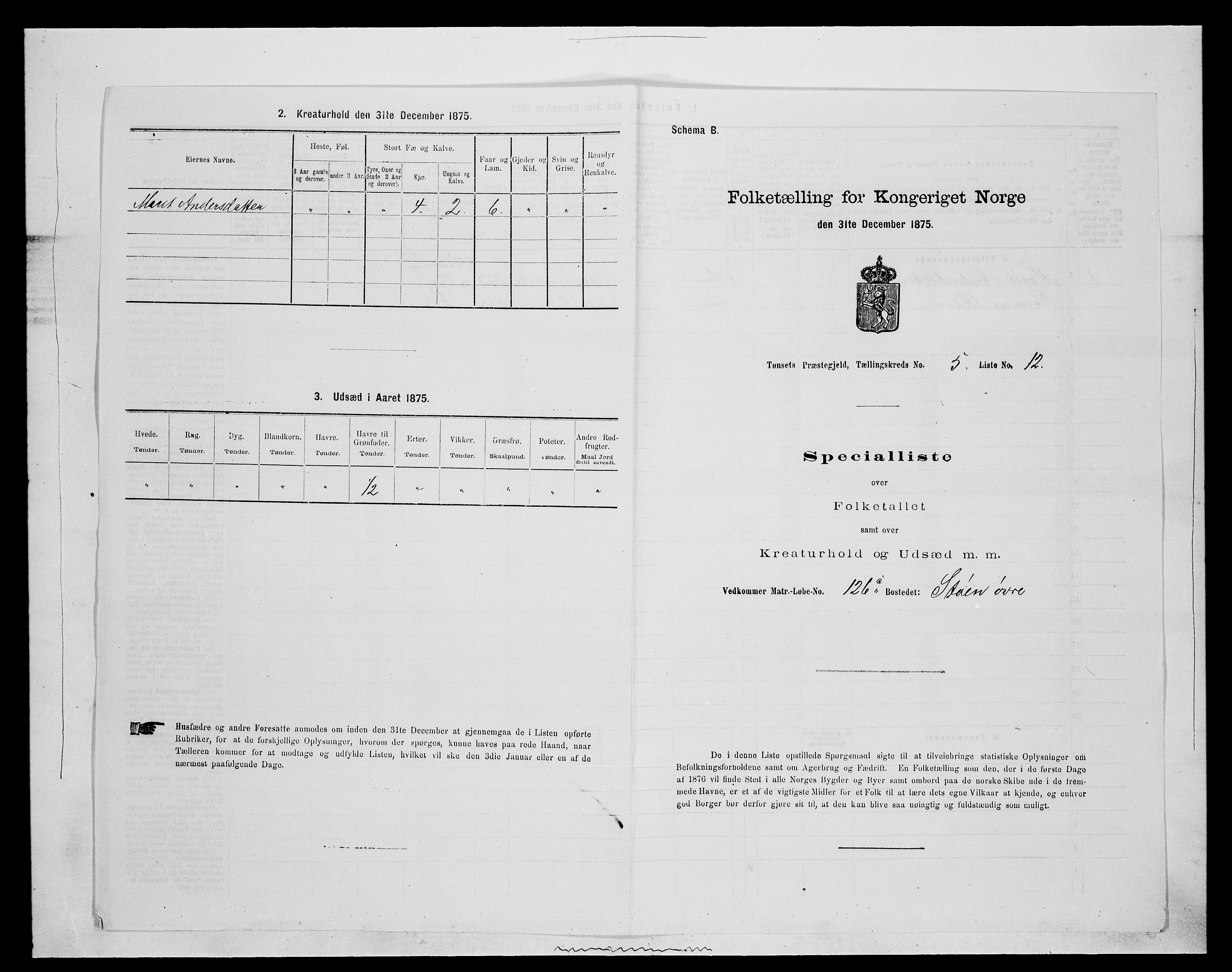 SAH, 1875 census for 0437P Tynset, 1875, p. 587