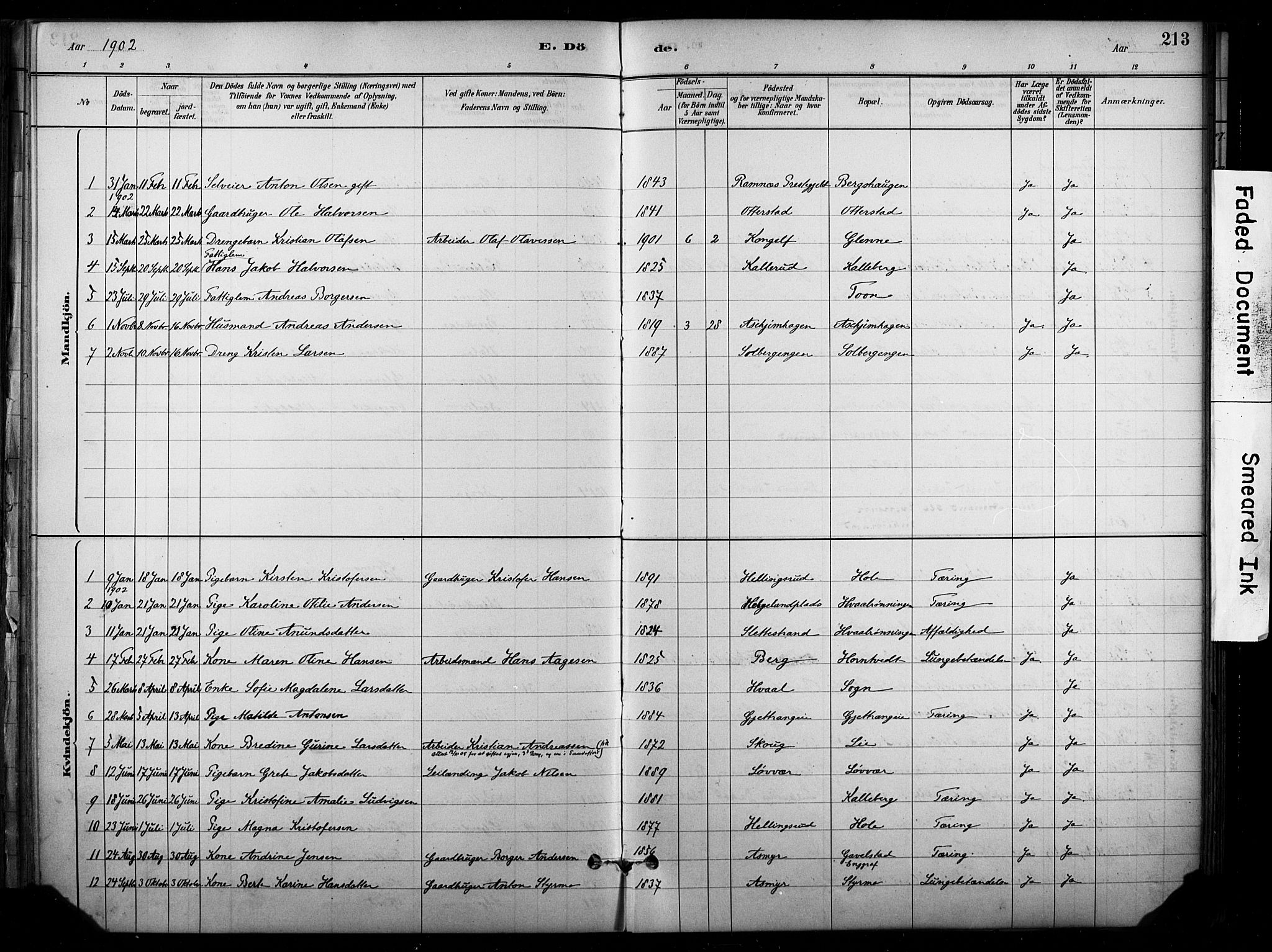 Lardal kirkebøker, AV/SAKO-A-350/F/Fb/L0001: Parish register (official) no. II 1, 1881-1911, p. 213