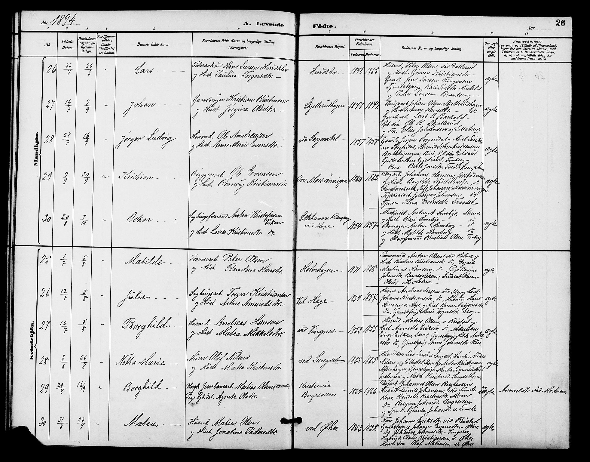 Fåberg prestekontor, AV/SAH-PREST-086/H/Ha/Hab/L0009: Parish register (copy) no. 9, 1891-1902, p. 26