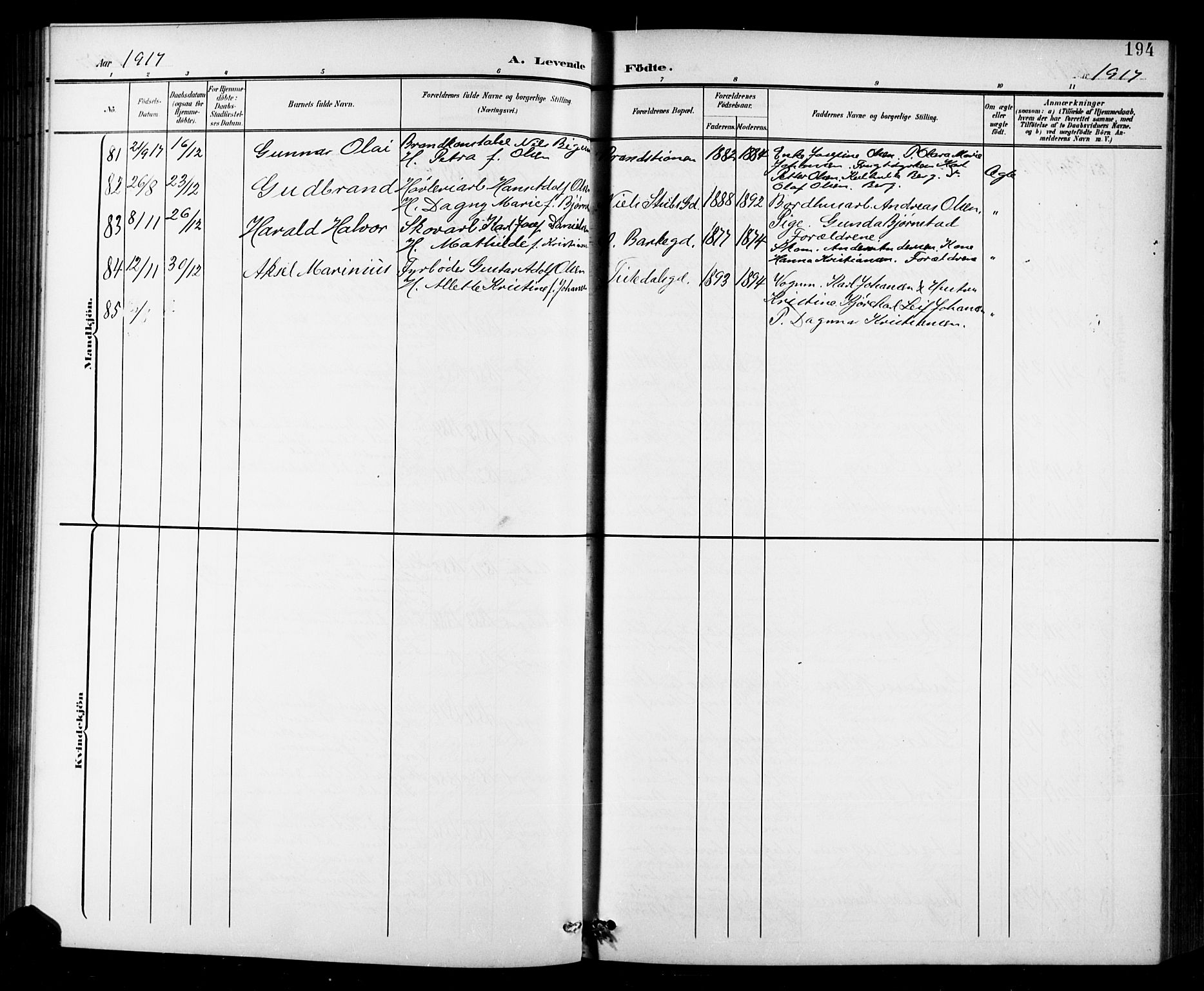 Halden prestekontor Kirkebøker, AV/SAO-A-10909/G/Ga/L0010: Parish register (copy) no. 10, 1900-1923, p. 194