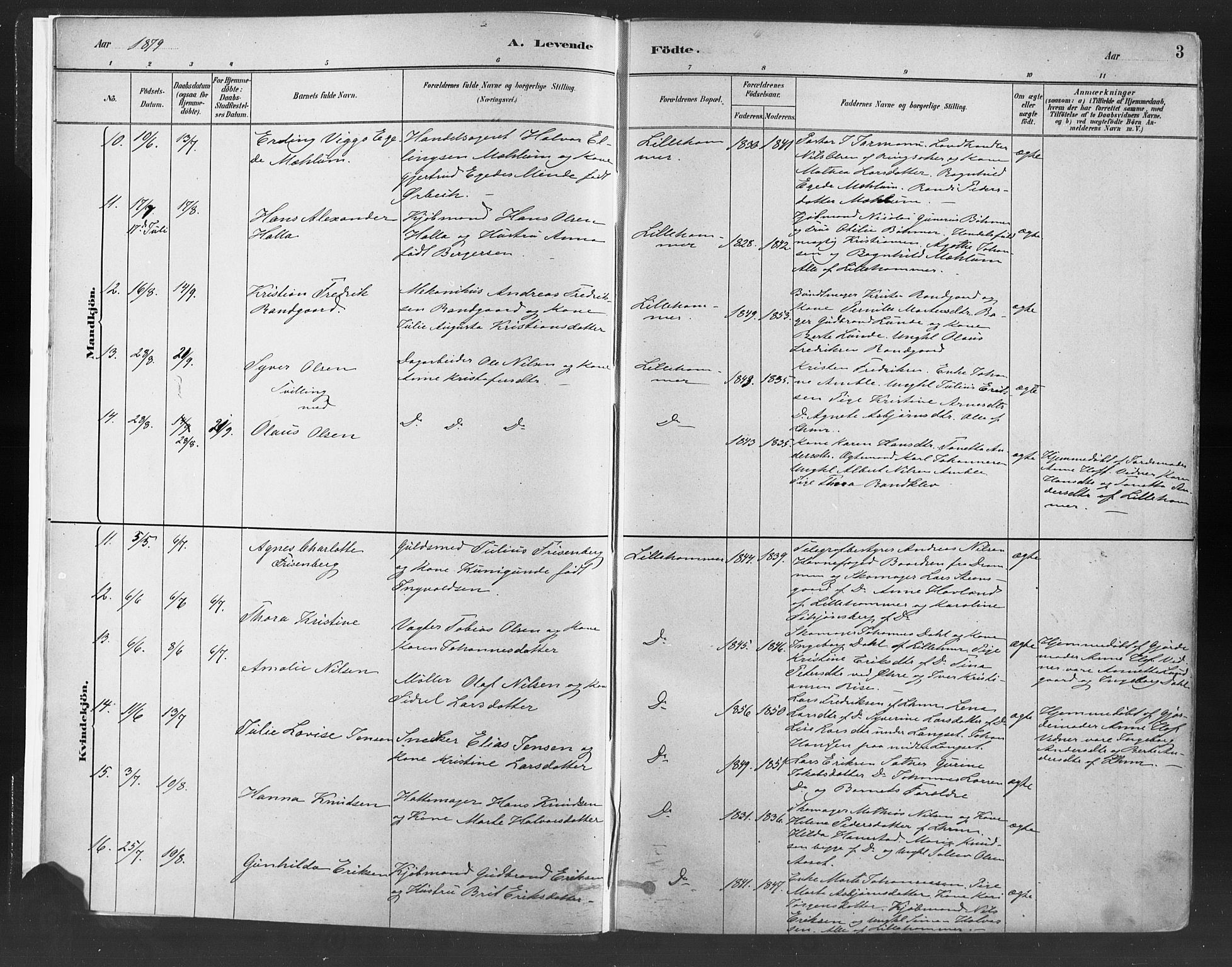 Fåberg prestekontor, SAH/PREST-086/H/Ha/Haa/L0010: Parish register (official) no. 10, 1879-1900, p. 3