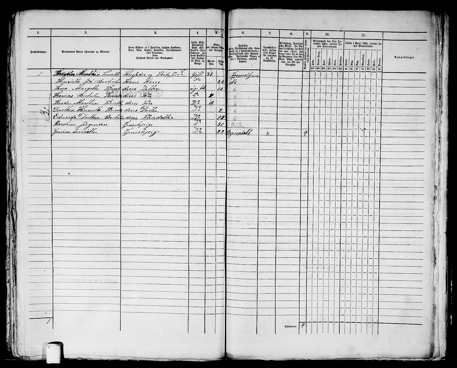 RA, 1865 census for Trondheim, 1865, p. 2058