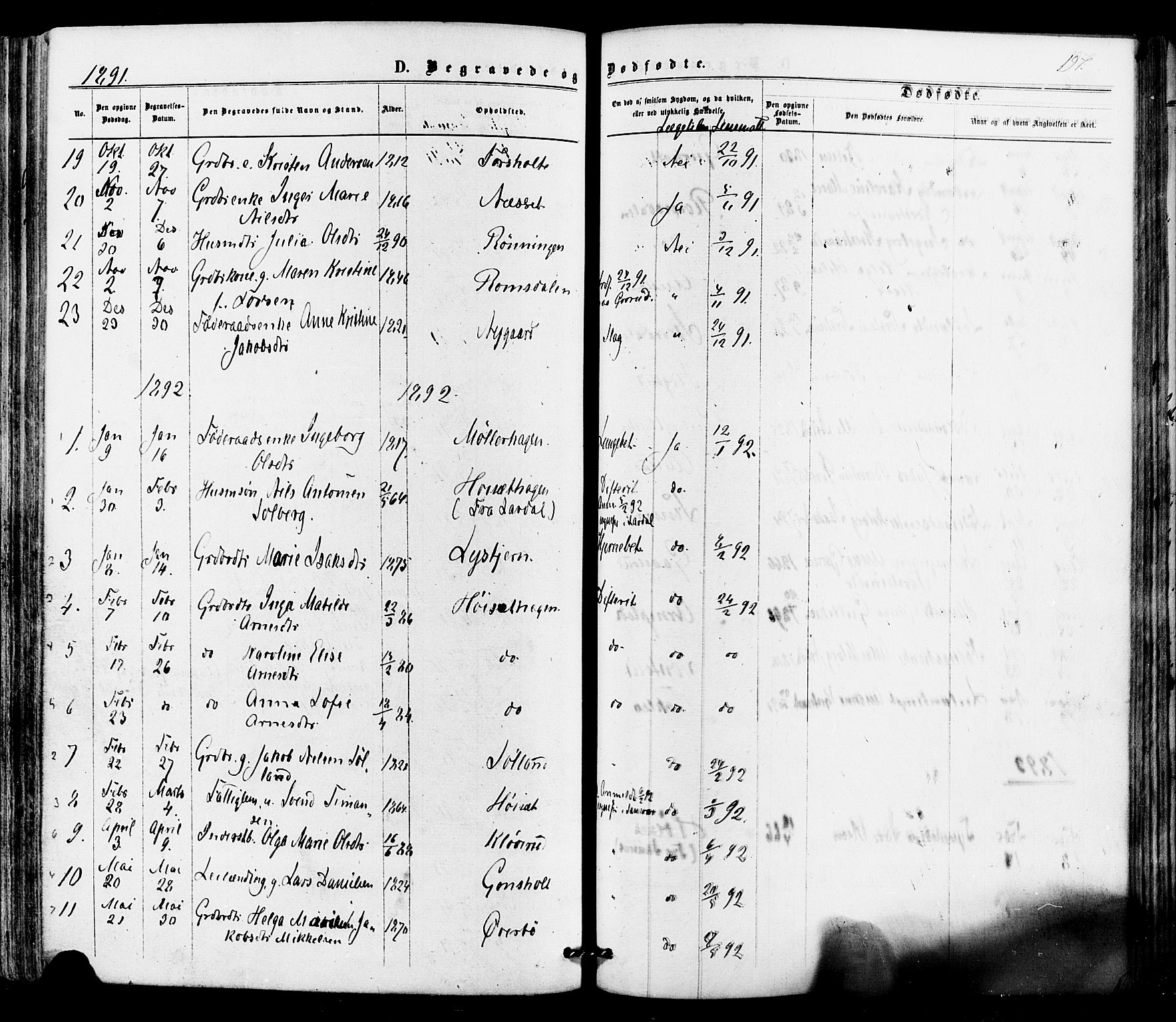 Siljan kirkebøker, SAKO/A-300/F/Fa/L0002: Parish register (official) no. 2, 1870-1895, p. 197