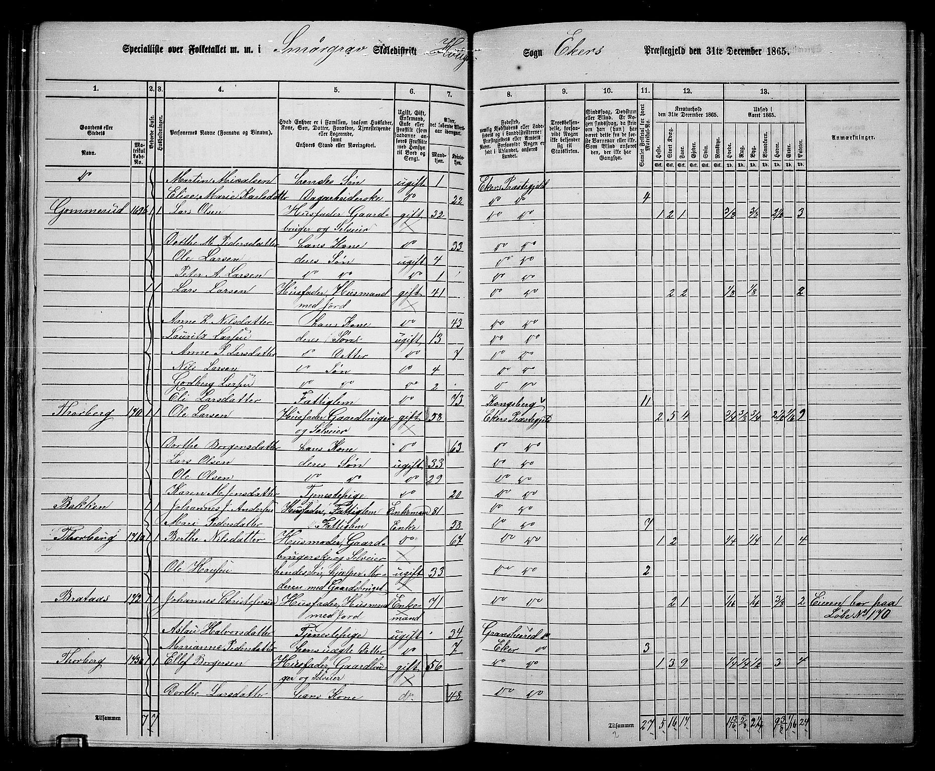 RA, 1865 census for Eiker, 1865, p. 56