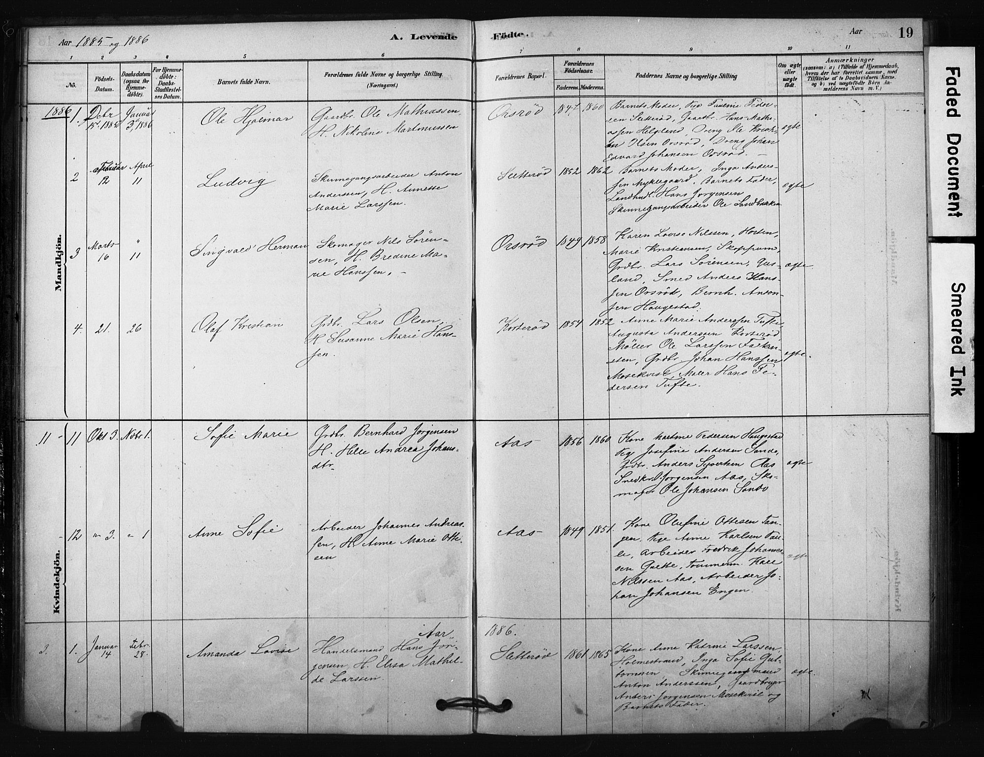 Borre kirkebøker, SAKO/A-338/F/Fc/L0001: Parish register (official) no. III 1, 1878-1896, p. 19
