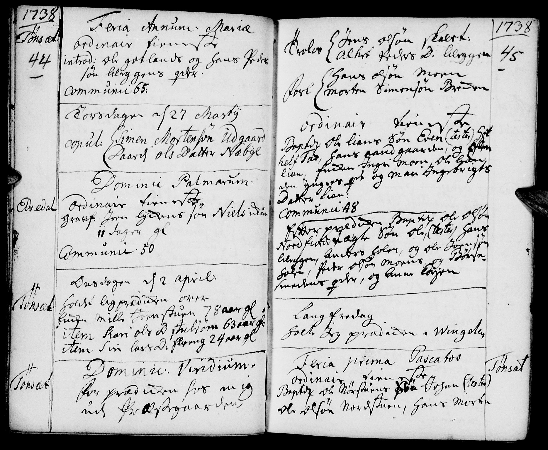 Tynset prestekontor, SAH/PREST-058/H/Ha/Haa/L0002: Parish register (official) no. 2, 1737-1767, p. 44-45