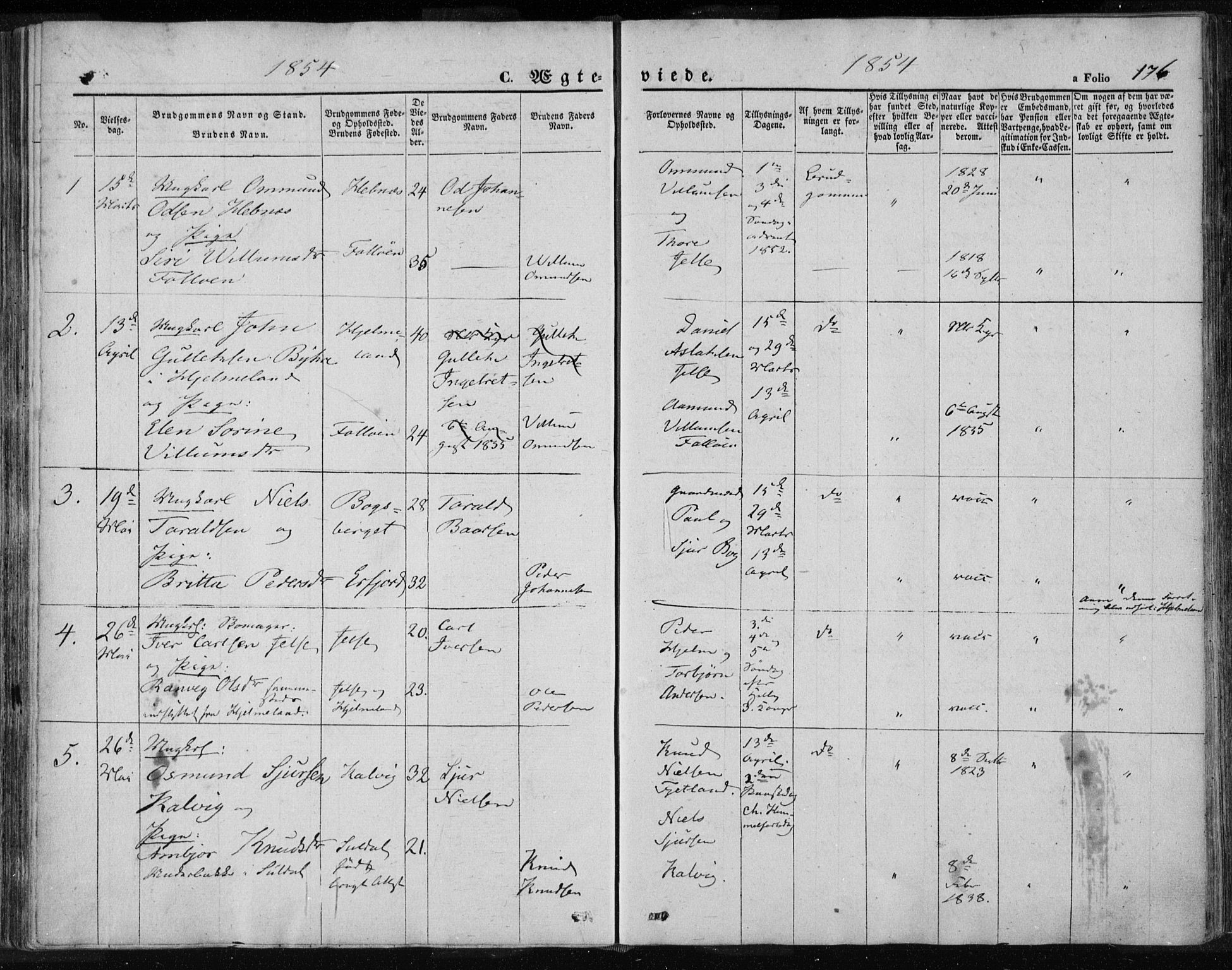 Jelsa sokneprestkontor, SAST/A-101842/01/IV: Parish register (official) no. A 7, 1854-1866, p. 176