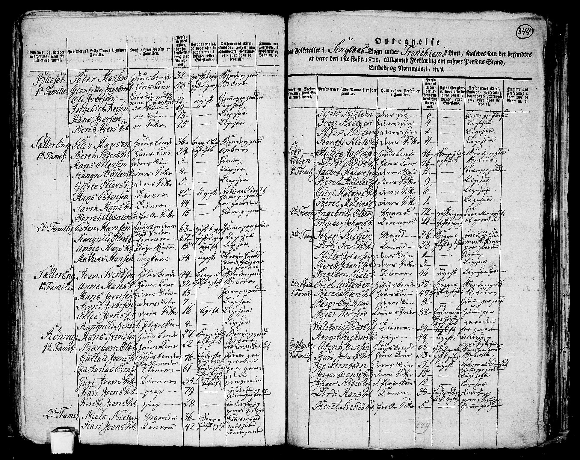 RA, 1801 census for 1645P Haltdalen, 1801, p. 343b-344a