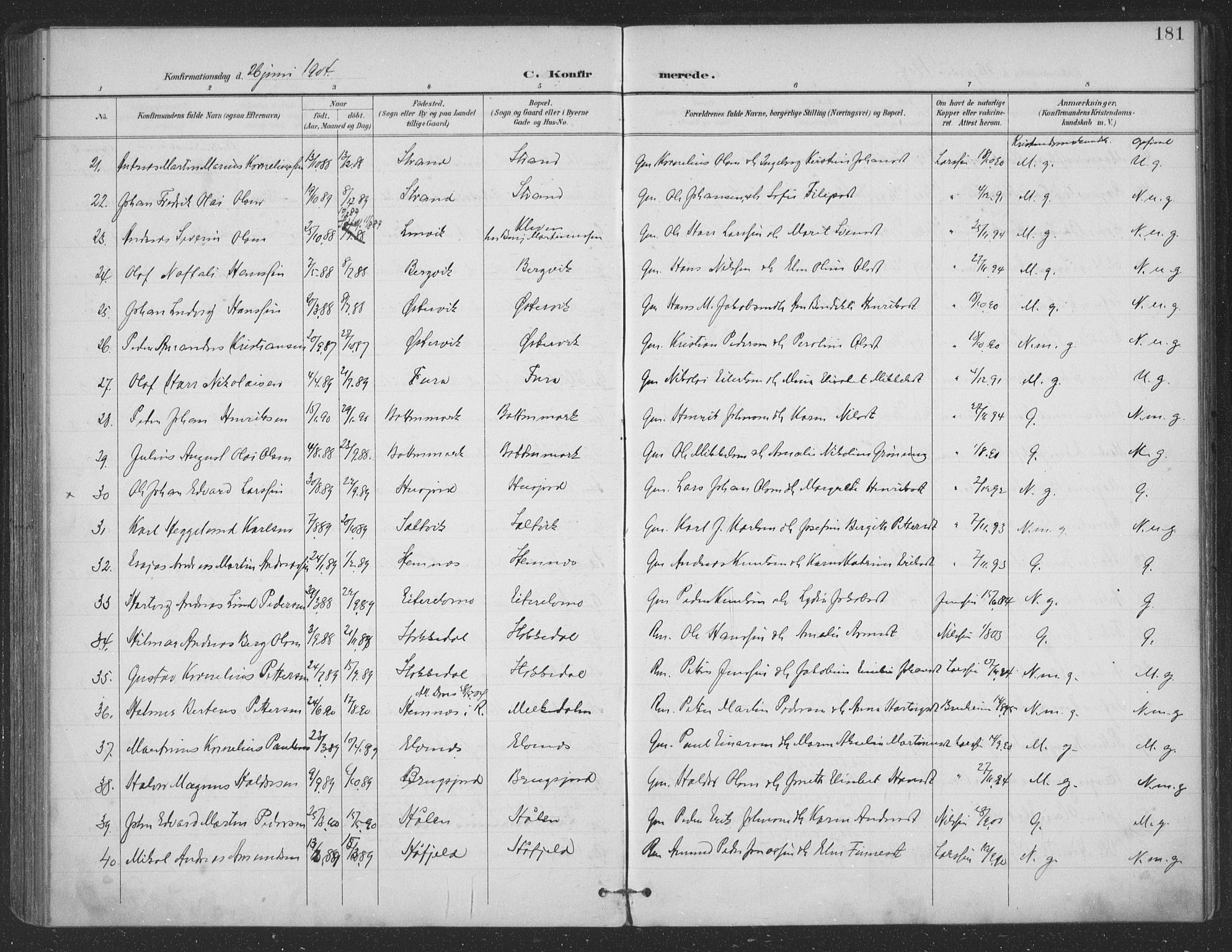 Ministerialprotokoller, klokkerbøker og fødselsregistre - Nordland, SAT/A-1459/863/L0899: Parish register (official) no. 863A11, 1897-1906, p. 181