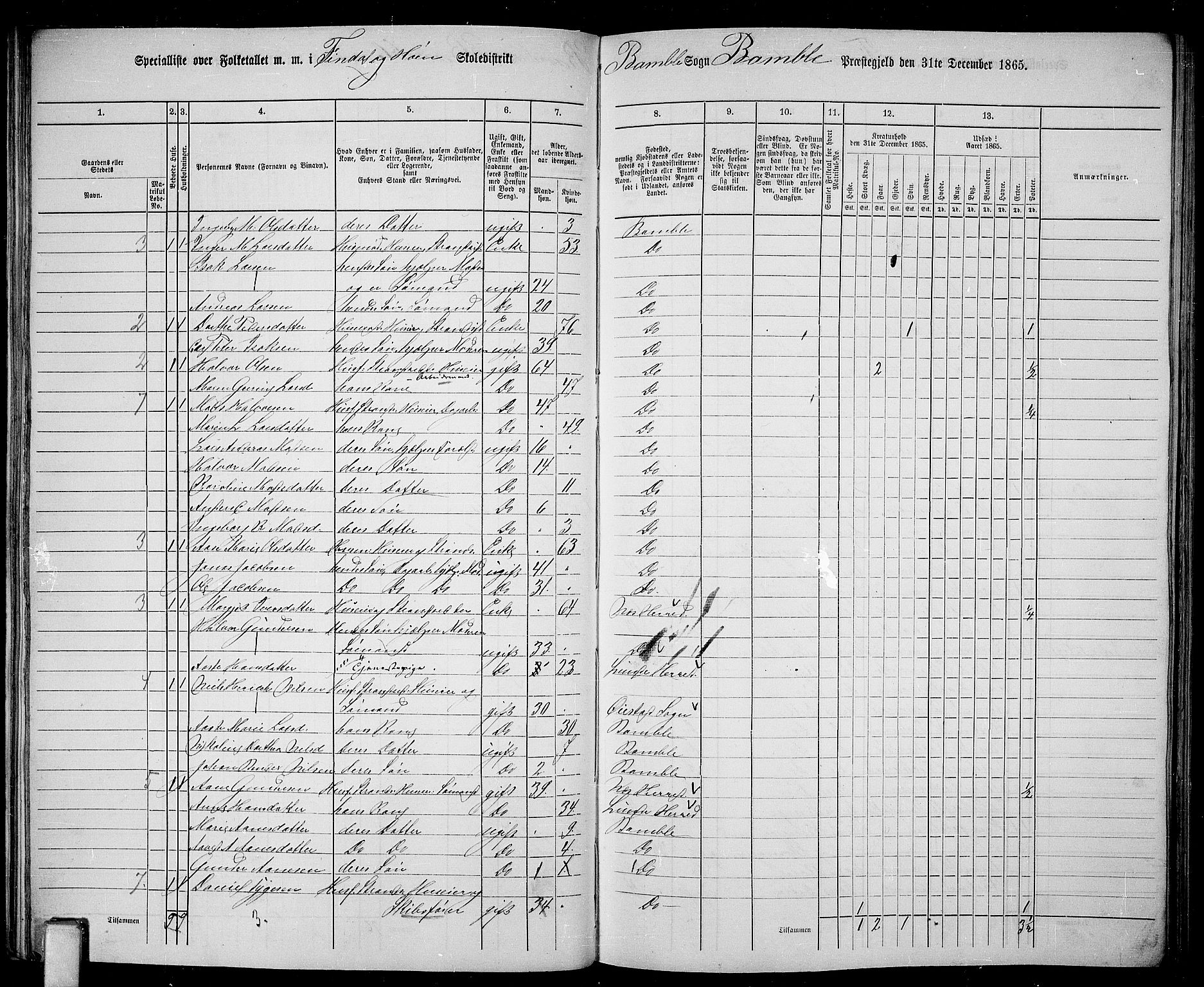 RA, 1865 census for Bamble, 1865, p. 66