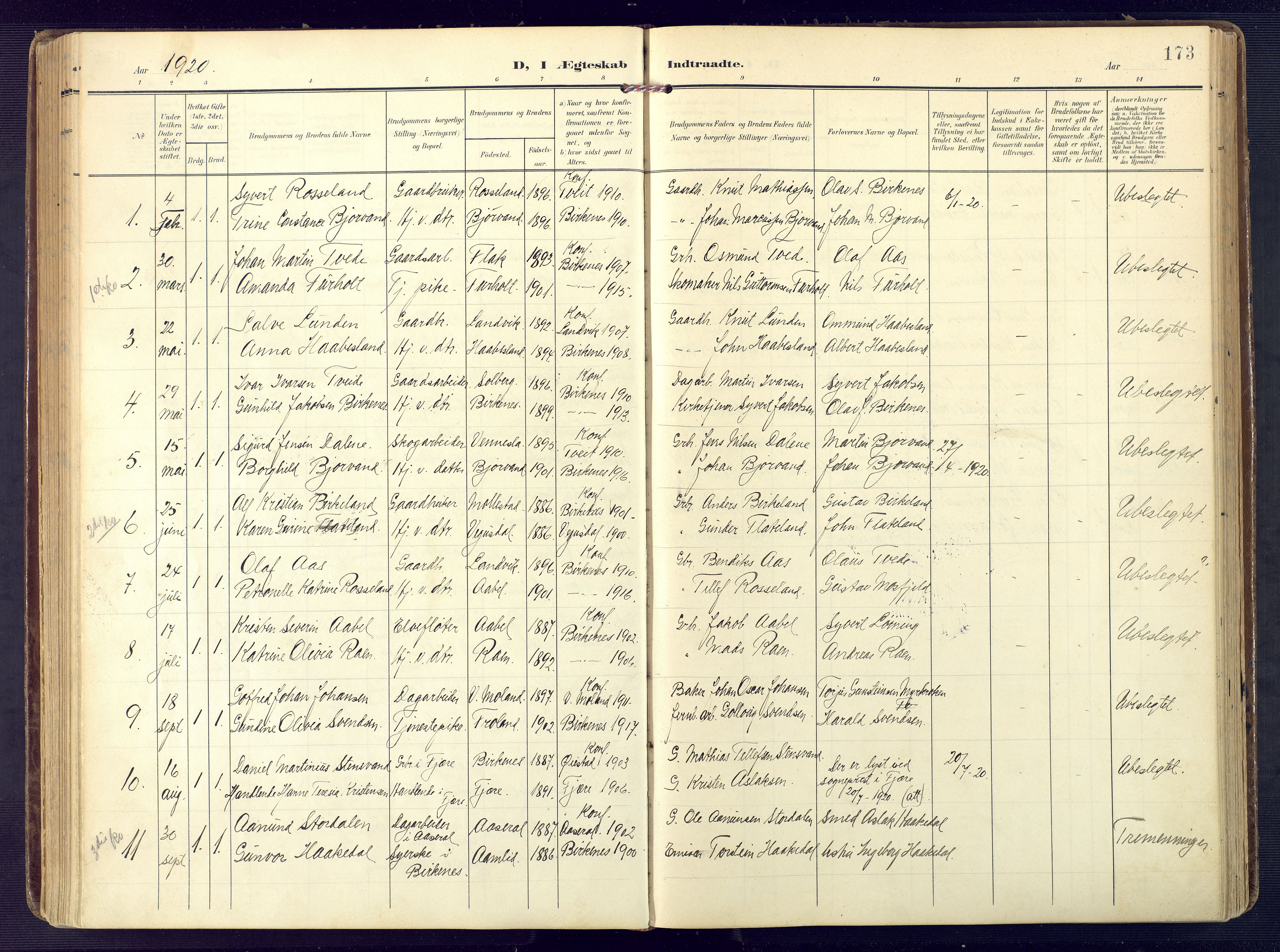 Birkenes sokneprestkontor, SAK/1111-0004/F/Fa/L0006: Parish register (official) no. A 6, 1908-1932, p. 173