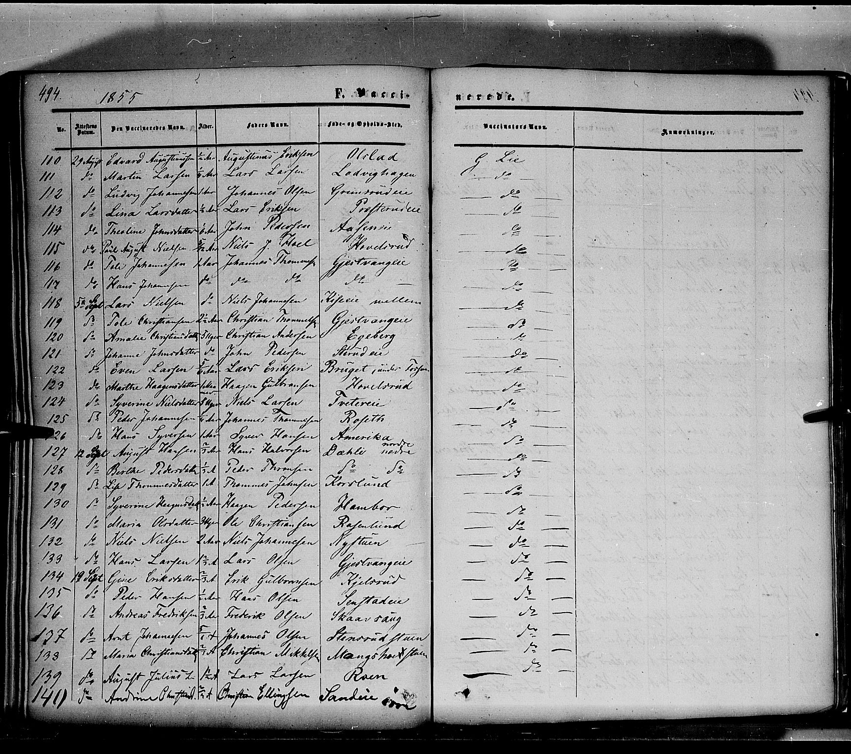 Nes prestekontor, Hedmark, SAH/PREST-020/K/Ka/L0004: Parish register (official) no. 4, 1852-1886, p. 494