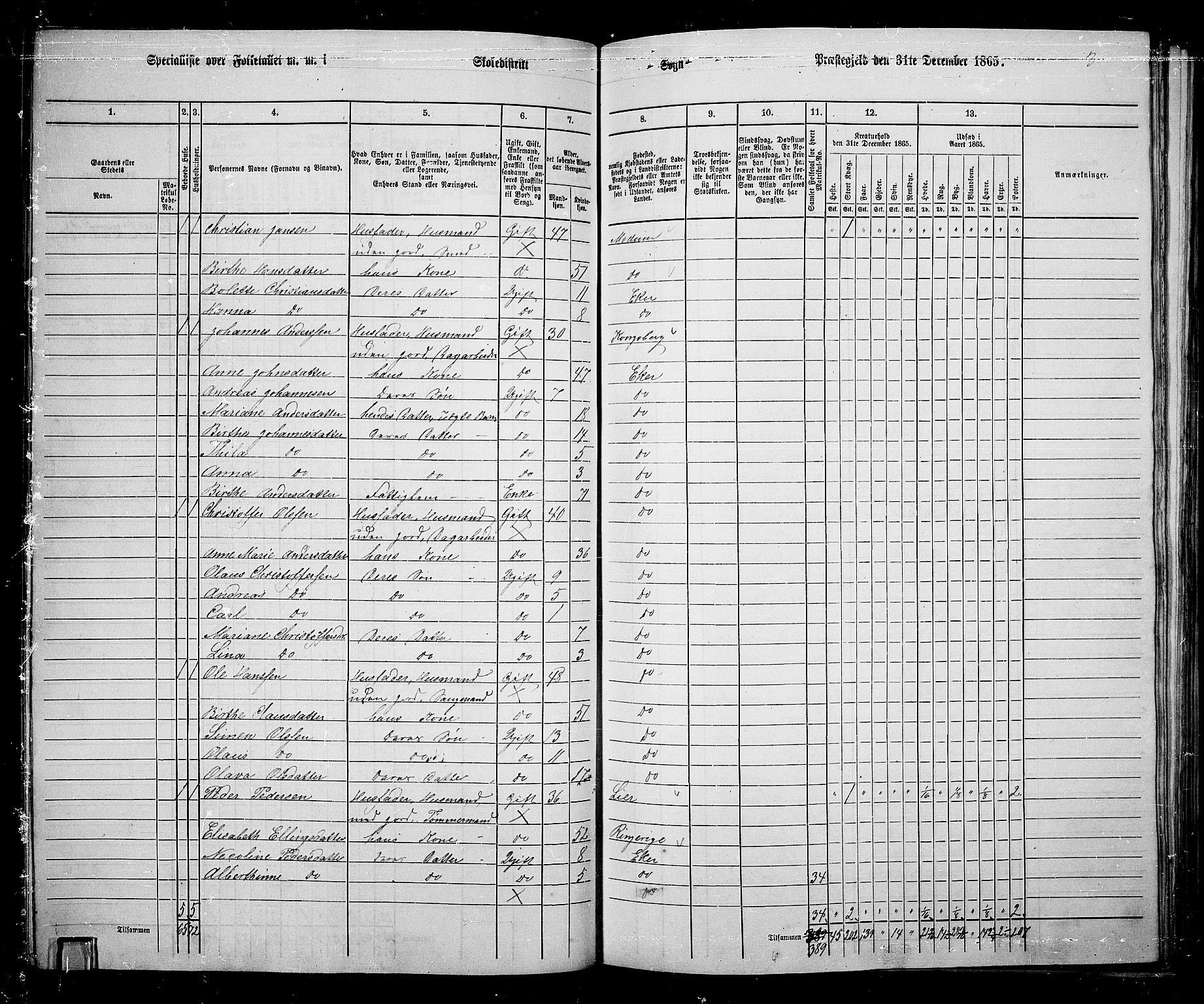 RA, 1865 census for Eiker, 1865, p. 120