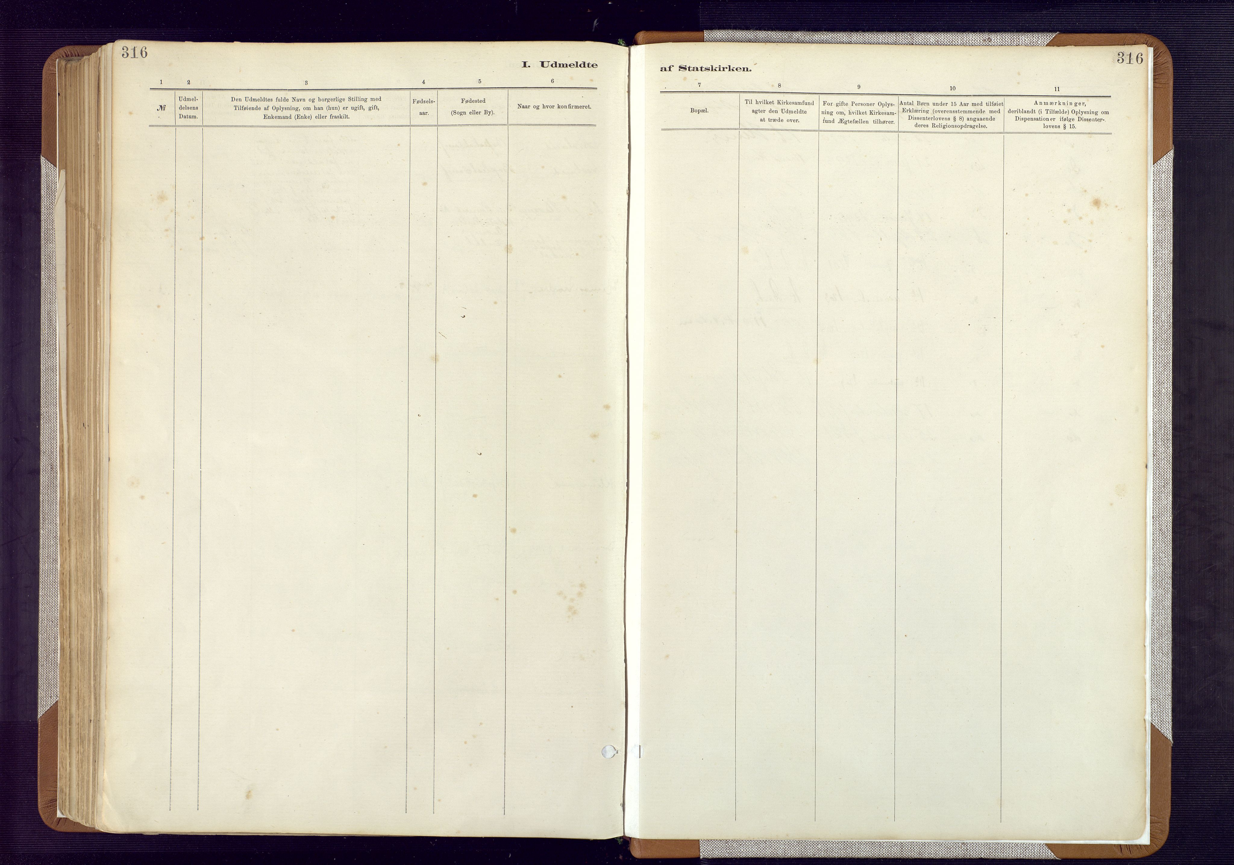 Bakke sokneprestkontor, AV/SAK-1111-0002/F/Fa/Fab/L0003: Parish register (official) no. A 3, 1884-1921, p. 316