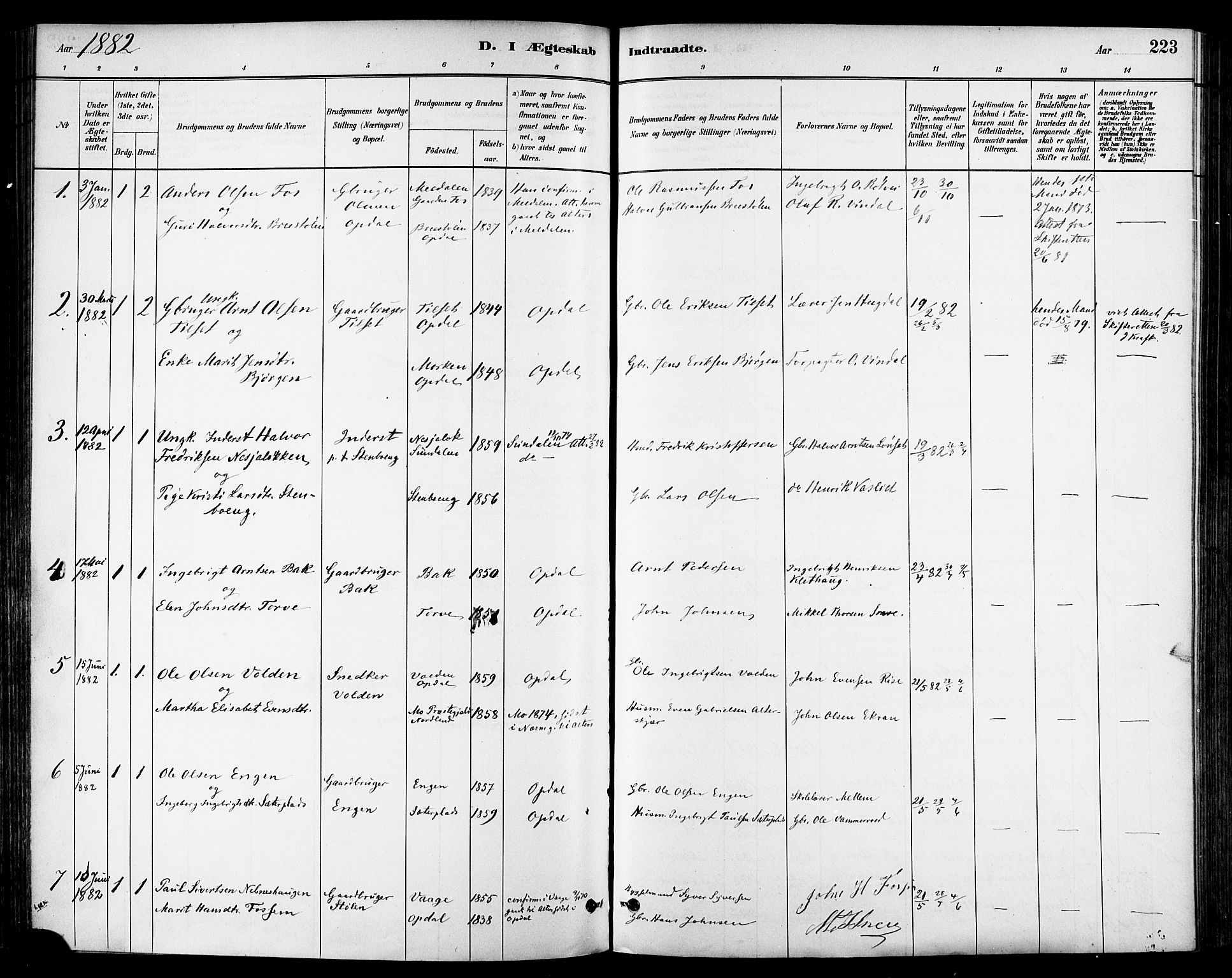 Ministerialprotokoller, klokkerbøker og fødselsregistre - Sør-Trøndelag, AV/SAT-A-1456/678/L0901: Parish register (official) no. 678A10, 1881-1894, p. 223