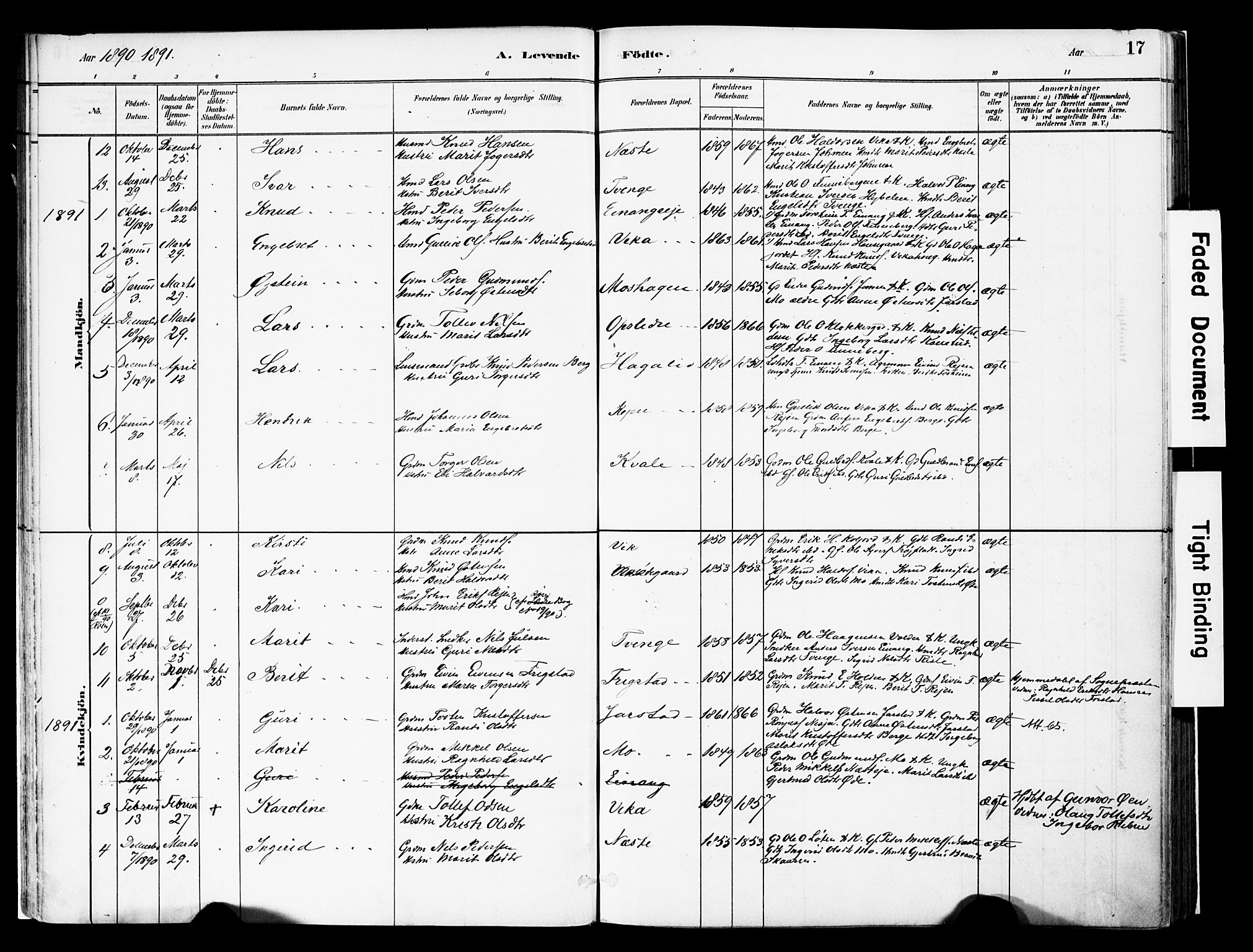 Vestre Slidre prestekontor, SAH/PREST-136/H/Ha/Haa/L0004: Parish register (official) no. 4, 1881-1911, p. 17