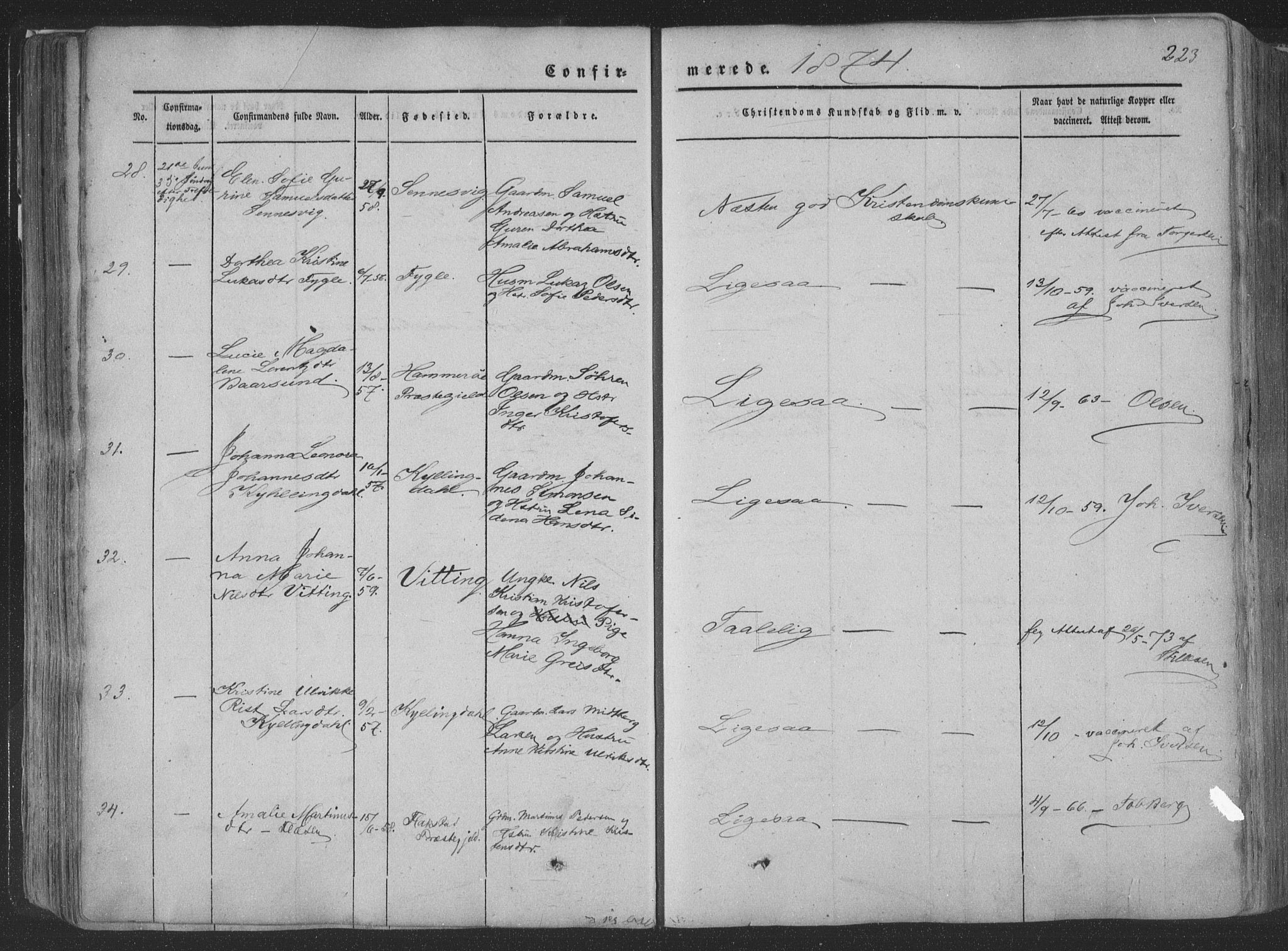 Ministerialprotokoller, klokkerbøker og fødselsregistre - Nordland, AV/SAT-A-1459/881/L1165: Parish register (copy) no. 881C02, 1854-1876, p. 223