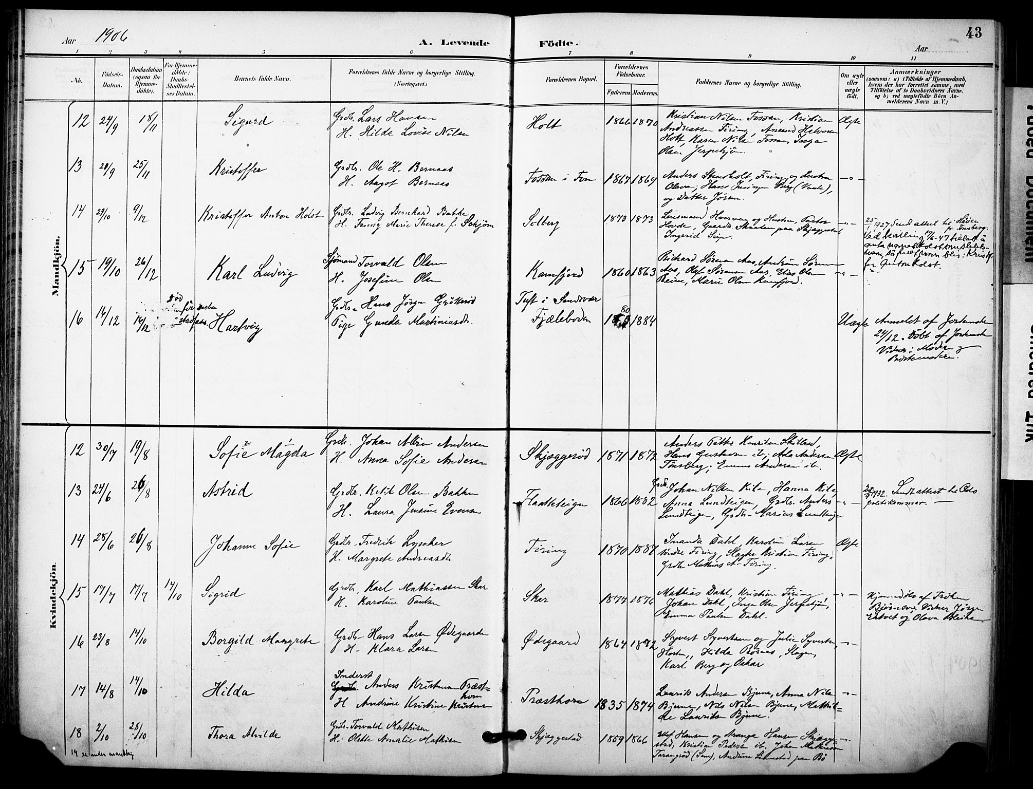 Ramnes kirkebøker, AV/SAKO-A-314/F/Fa/L0008: Parish register (official) no. I 8, 1896-1913, p. 43