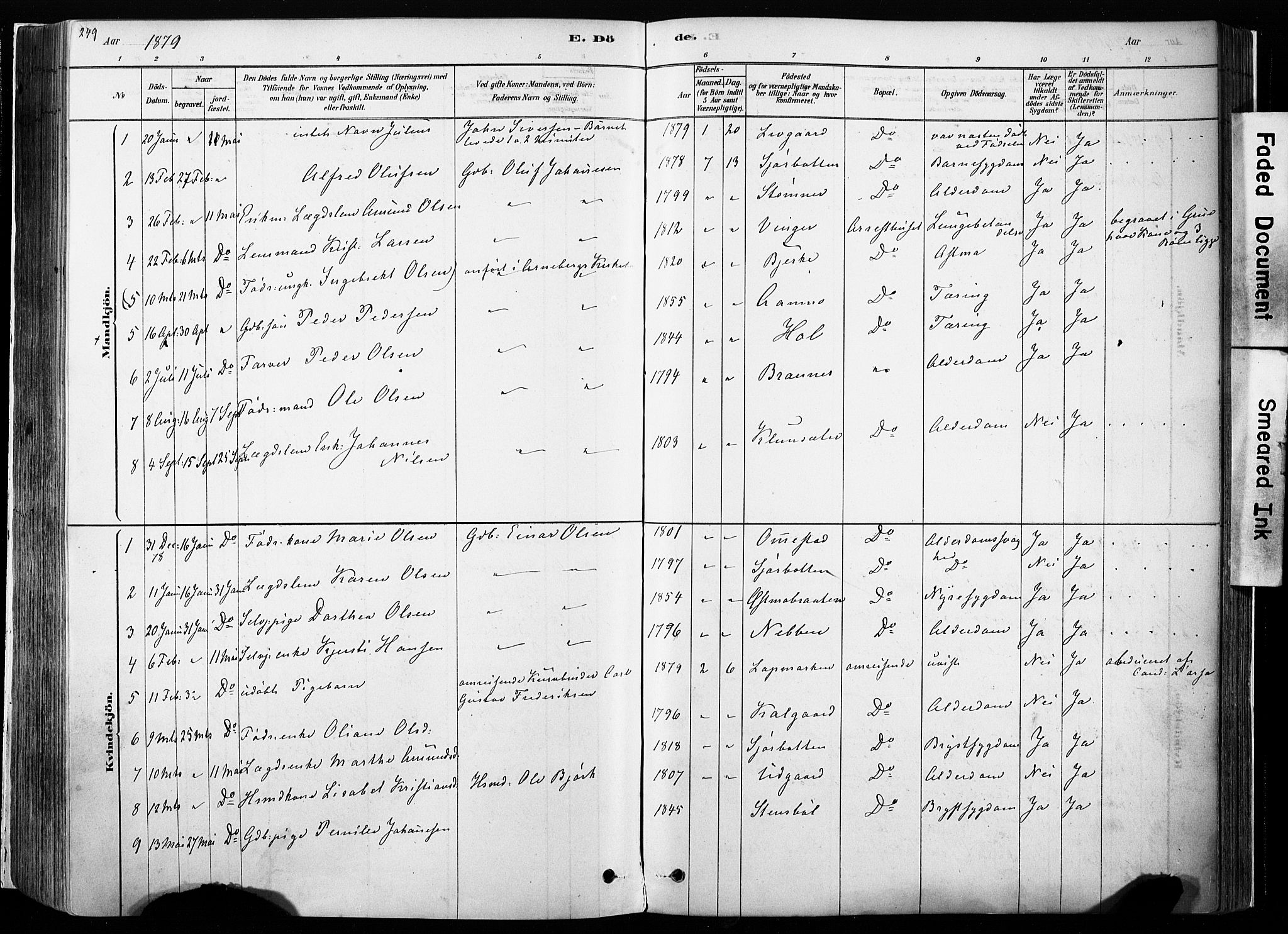 Hof prestekontor, SAH/PREST-038/H/Ha/Haa/L0010: Parish register (official) no. 10, 1878-1909, p. 249