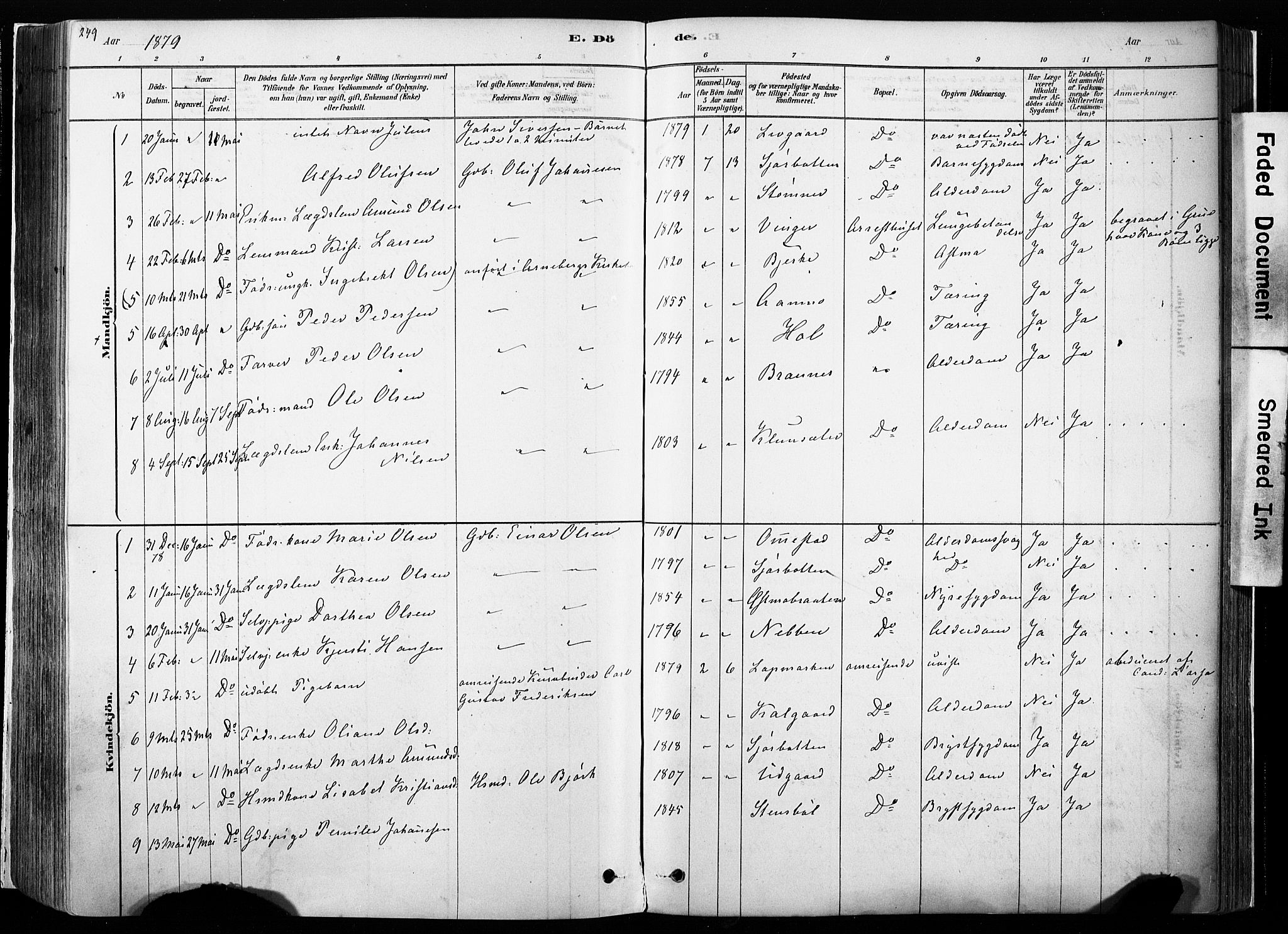 Hof prestekontor, AV/SAH-PREST-038/H/Ha/Haa/L0010: Parish register (official) no. 10, 1878-1909, p. 249