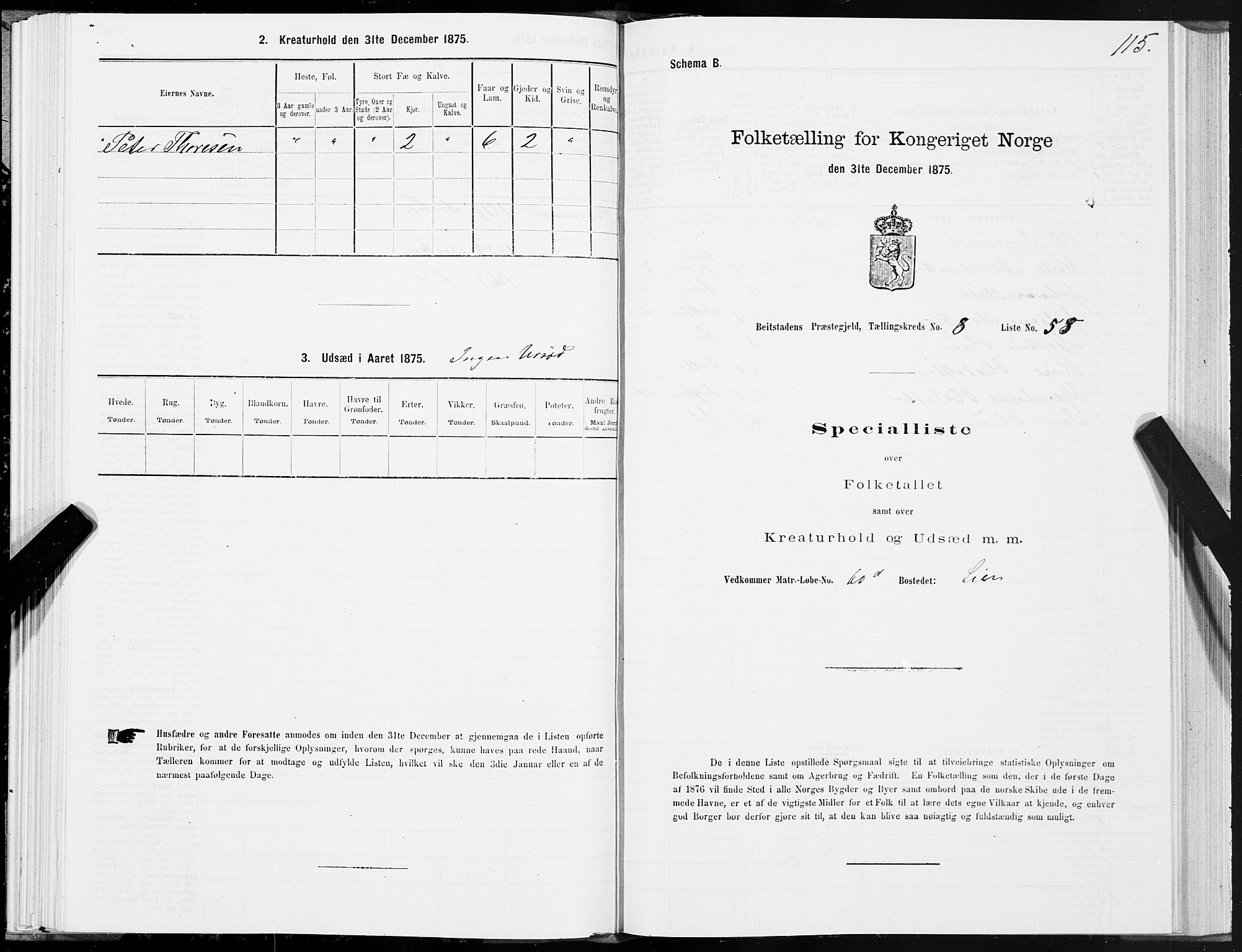 SAT, 1875 census for 1727P Beitstad, 1875, p. 6115