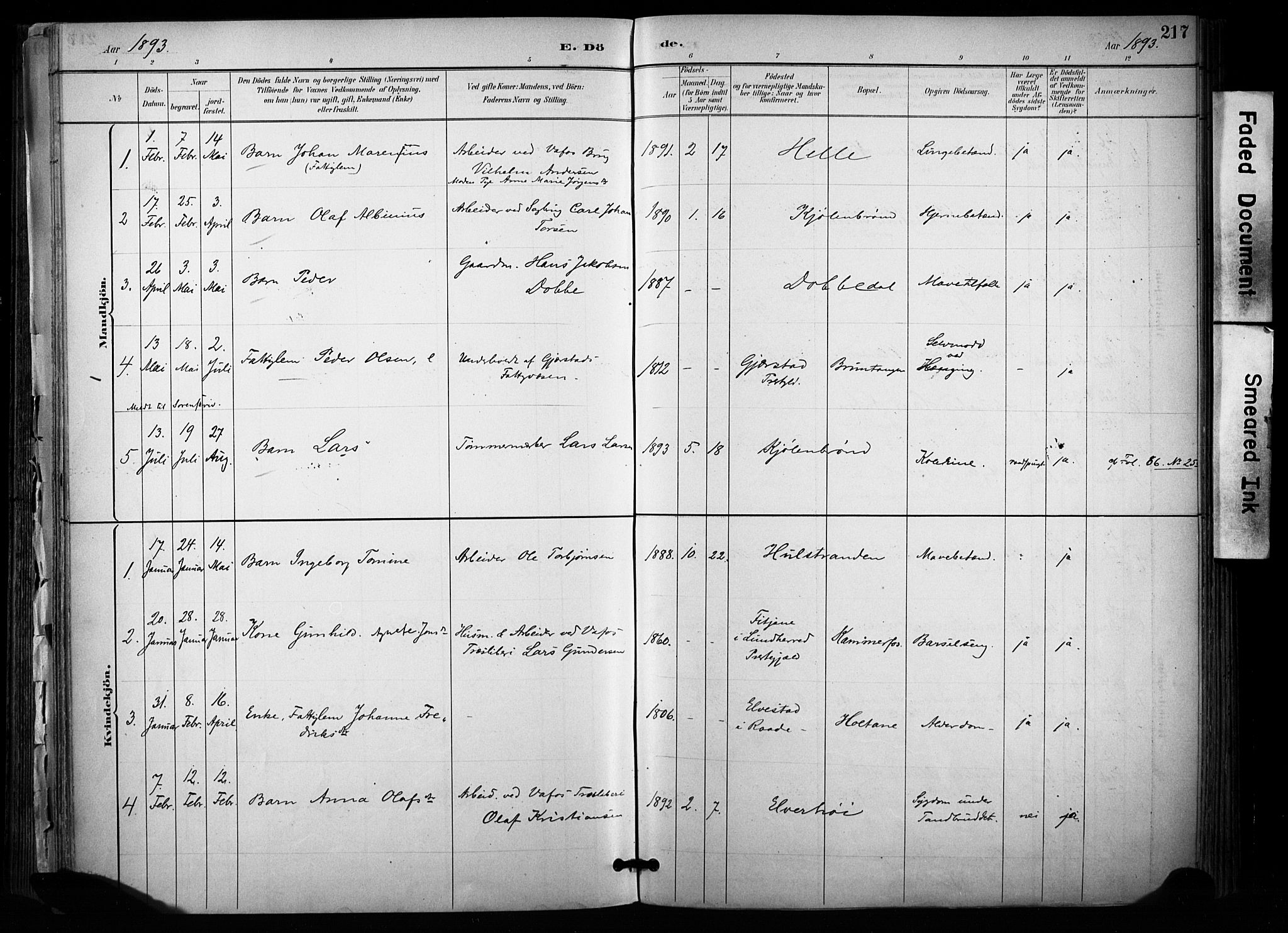 Sannidal kirkebøker, SAKO/A-296/F/Fa/L0015: Parish register (official) no. 15, 1884-1899, p. 217