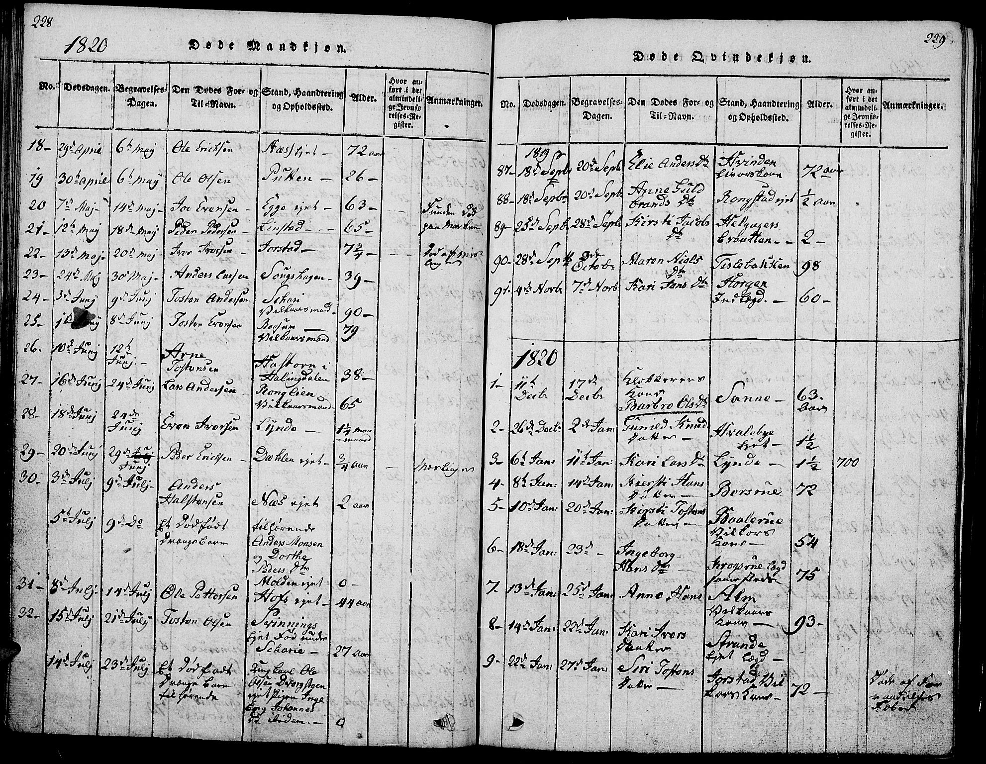 Gran prestekontor, AV/SAH-PREST-112/H/Ha/Hab/L0001: Parish register (copy) no. 1, 1815-1824, p. 228-229