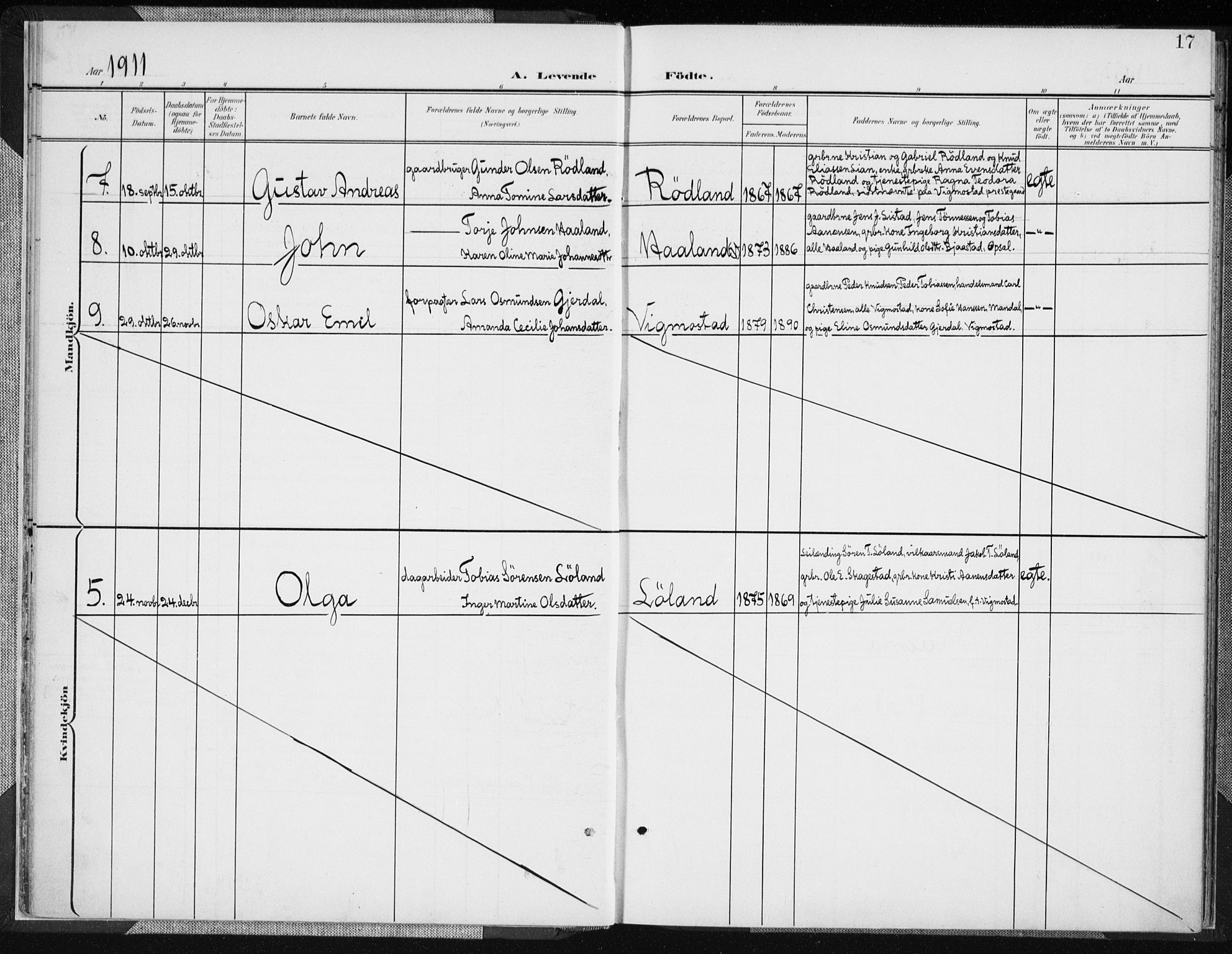 Nord-Audnedal sokneprestkontor, SAK/1111-0032/F/Fa/Fab/L0004: Parish register (official) no. A 4, 1901-1917, p. 17