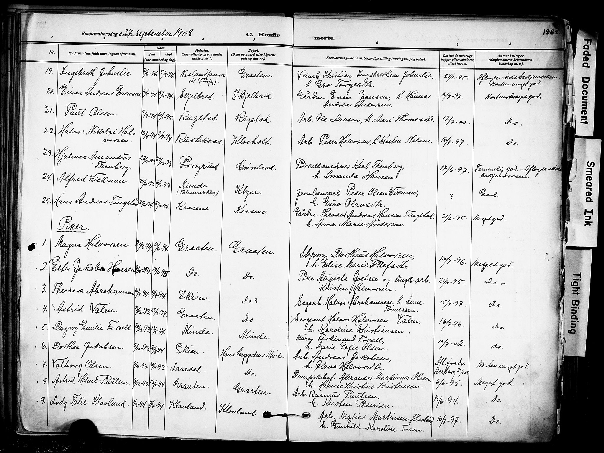 Solum kirkebøker, AV/SAKO-A-306/F/Fa/L0011: Parish register (official) no. I 11, 1898-1909, p. 196