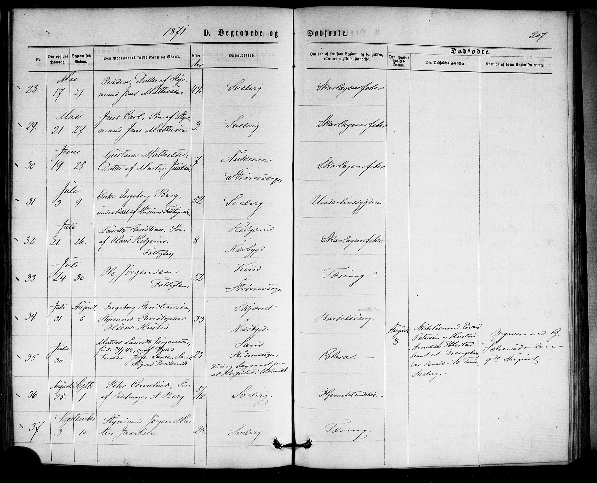Strømm kirkebøker, SAKO/A-322/F/Fa/L0002: Parish register (official) no. I 2, 1870-1877, p. 207