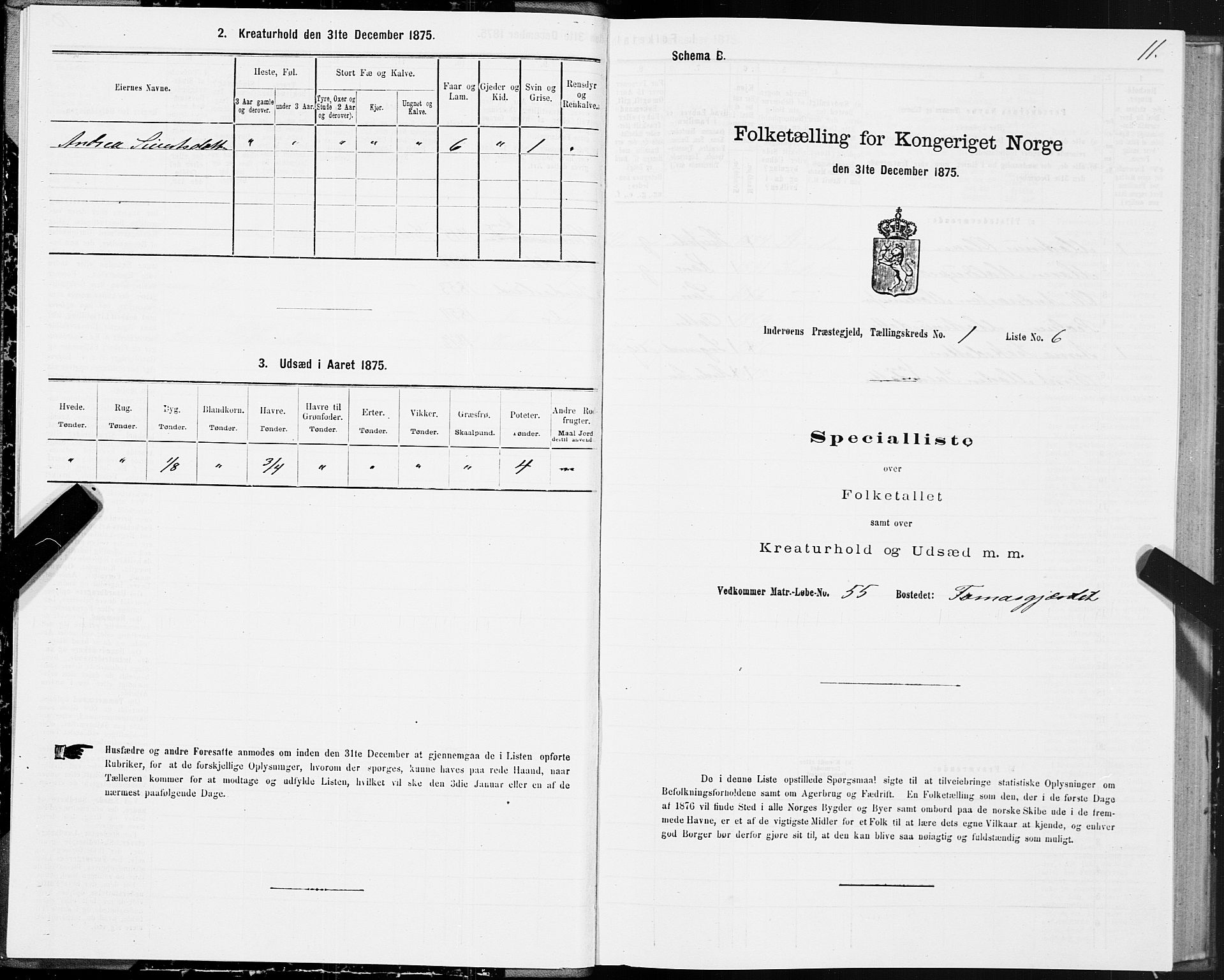 SAT, 1875 census for 1729P Inderøy, 1875, p. 1011