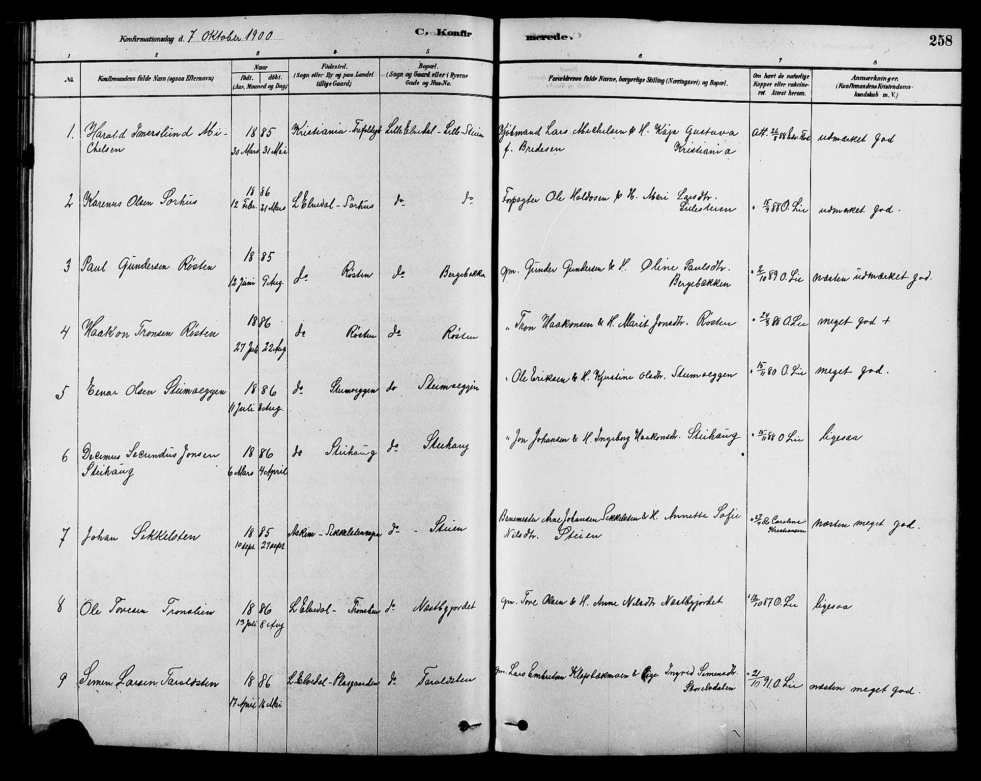 Alvdal prestekontor, SAH/PREST-060/H/Ha/Hab/L0003: Parish register (copy) no. 3, 1878-1907, p. 258