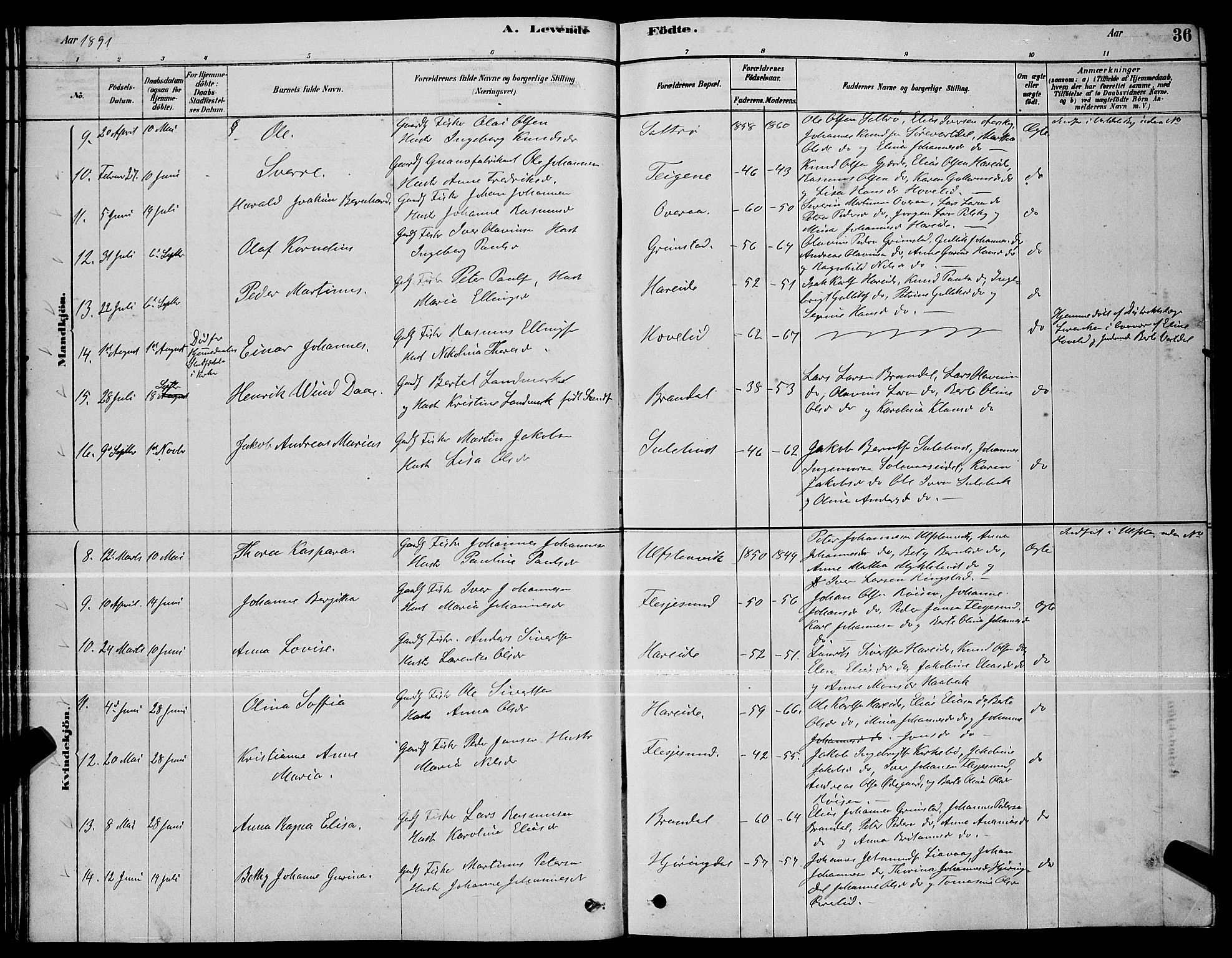 Ministerialprotokoller, klokkerbøker og fødselsregistre - Møre og Romsdal, AV/SAT-A-1454/510/L0125: Parish register (copy) no. 510C02, 1878-1900, p. 36