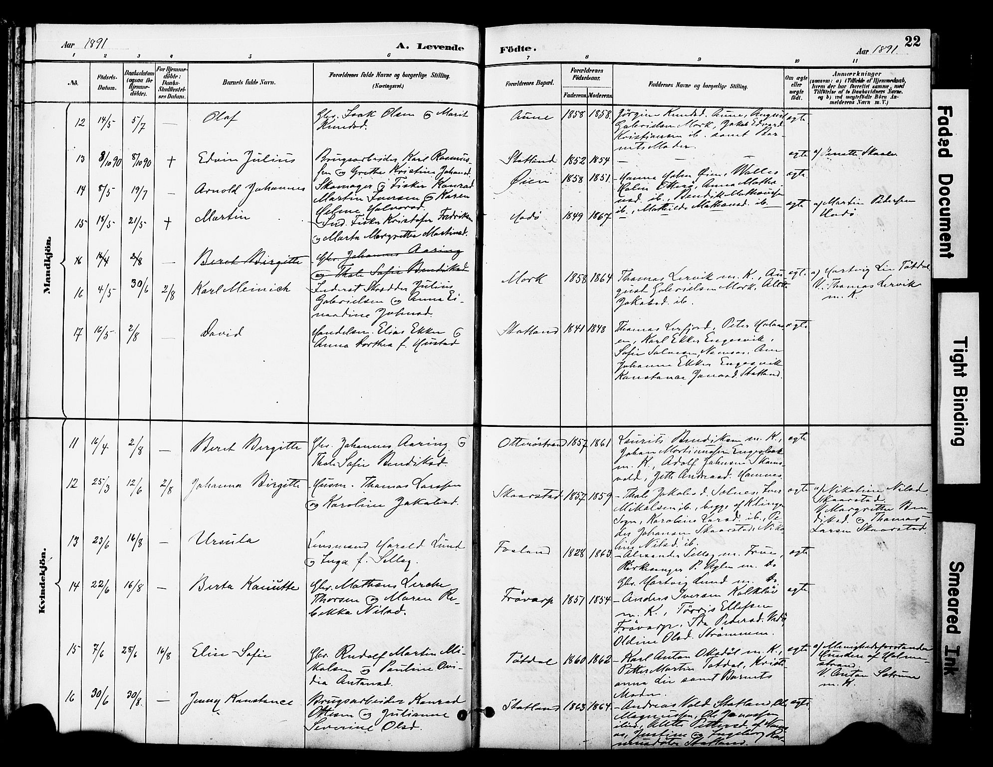 Ministerialprotokoller, klokkerbøker og fødselsregistre - Nord-Trøndelag, AV/SAT-A-1458/774/L0628: Parish register (official) no. 774A02, 1887-1903, p. 22